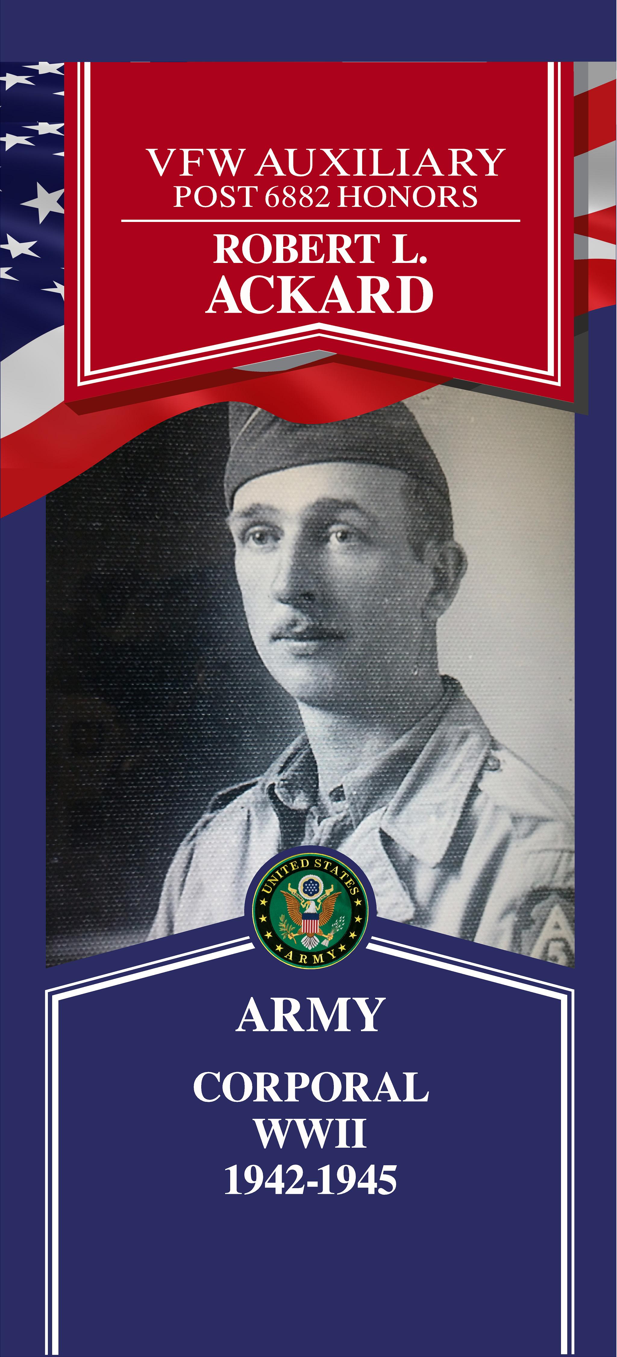 Local Heroes veteran tribute portrait