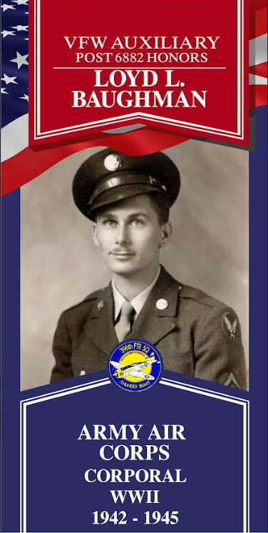 Local Heroes veteran tribute portrait