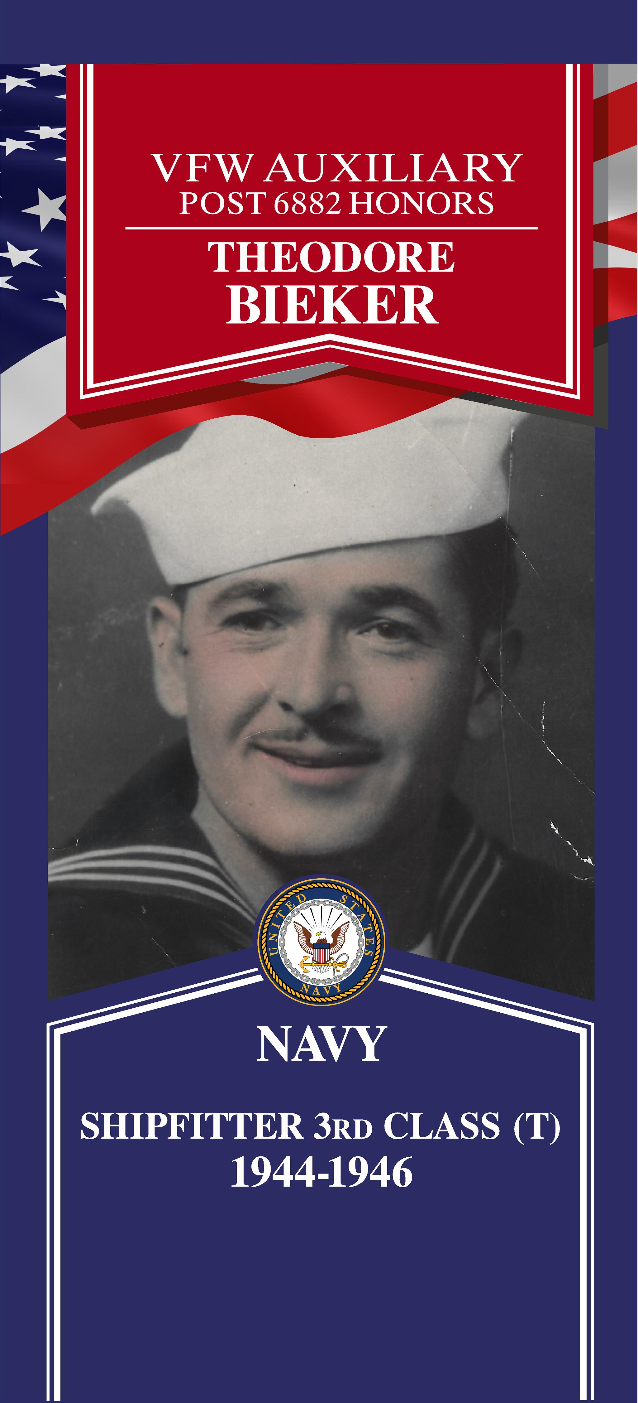 Local Heroes veteran tribute portrait