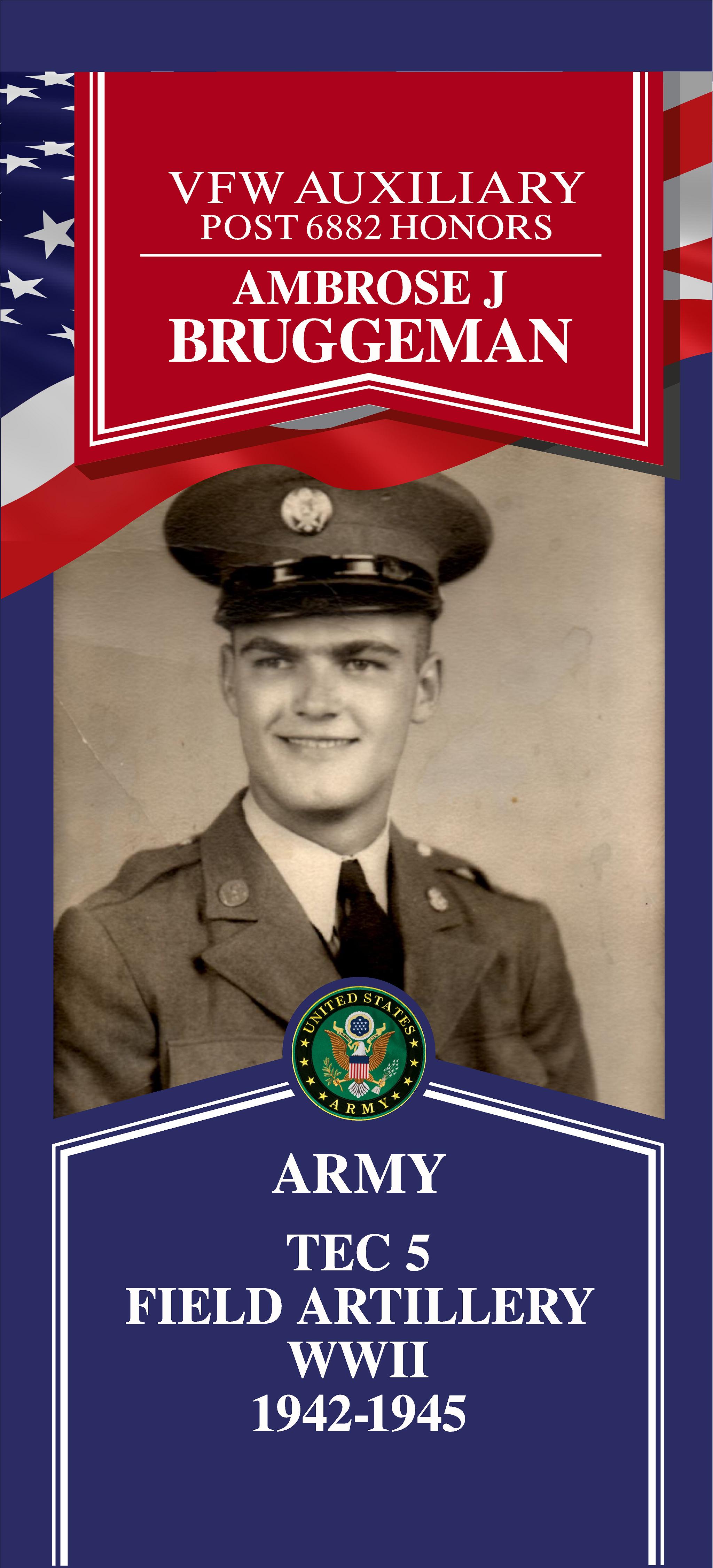 Local Heroes veteran tribute portrait