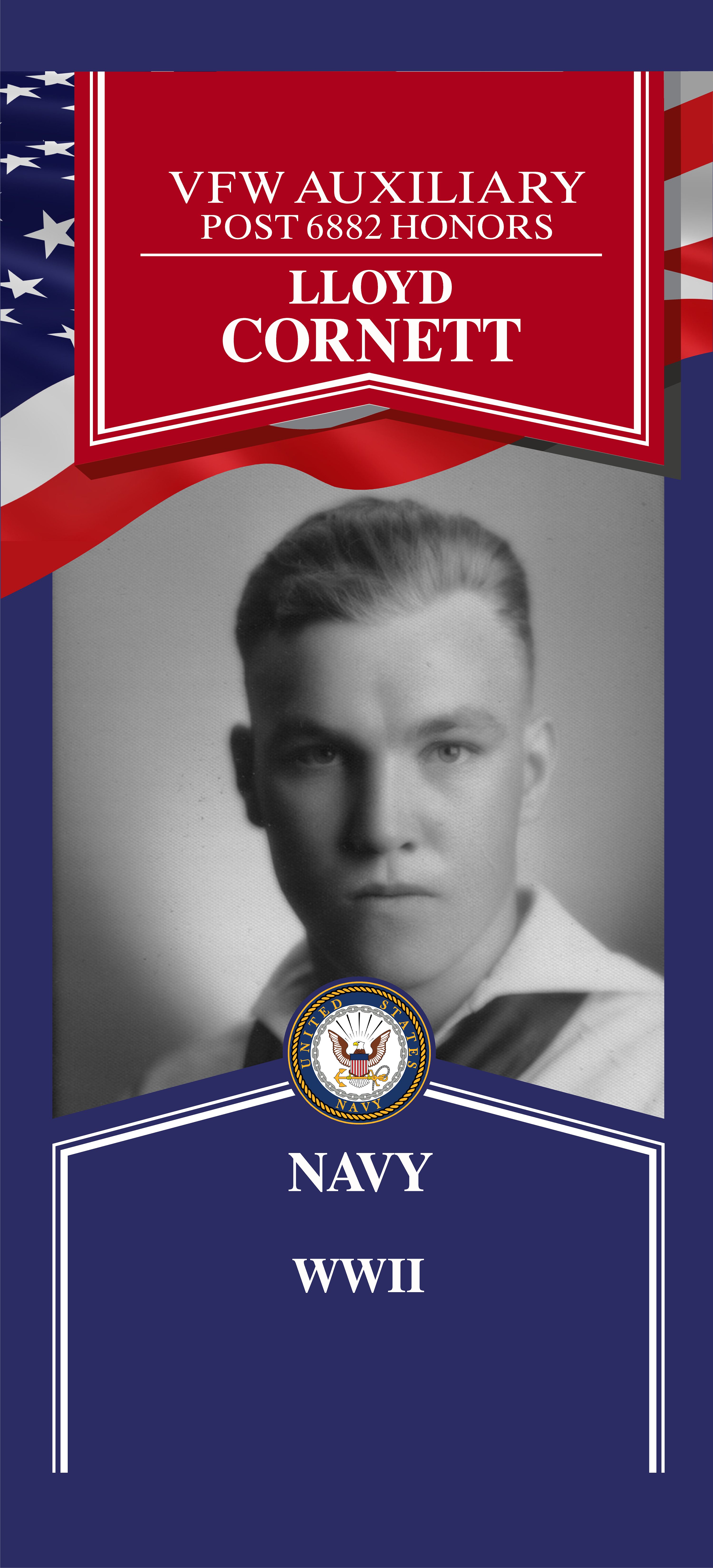 Local Heroes veteran tribute portrait