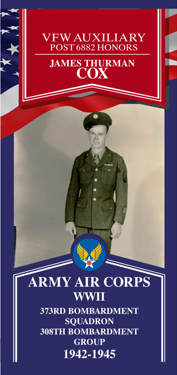 Local Heroes veteran tribute portrait