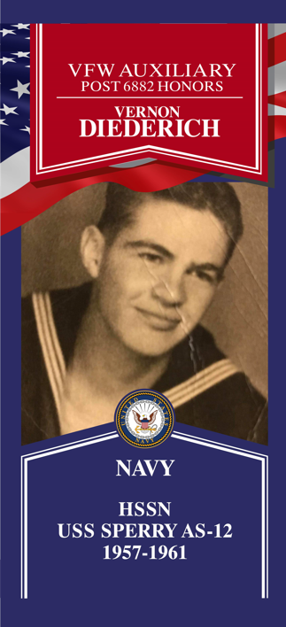 Local Heroes veteran tribute portrait