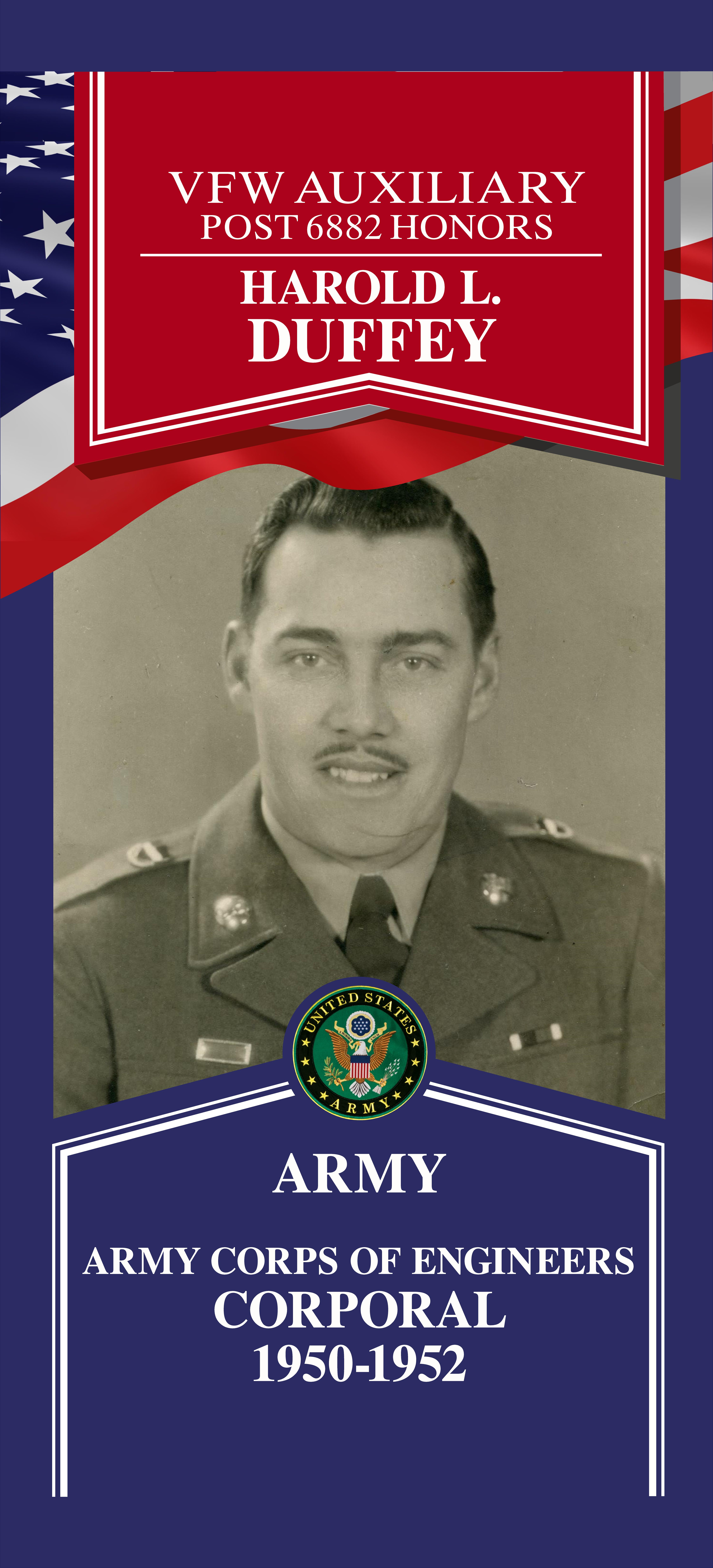 Local Heroes veteran tribute portrait