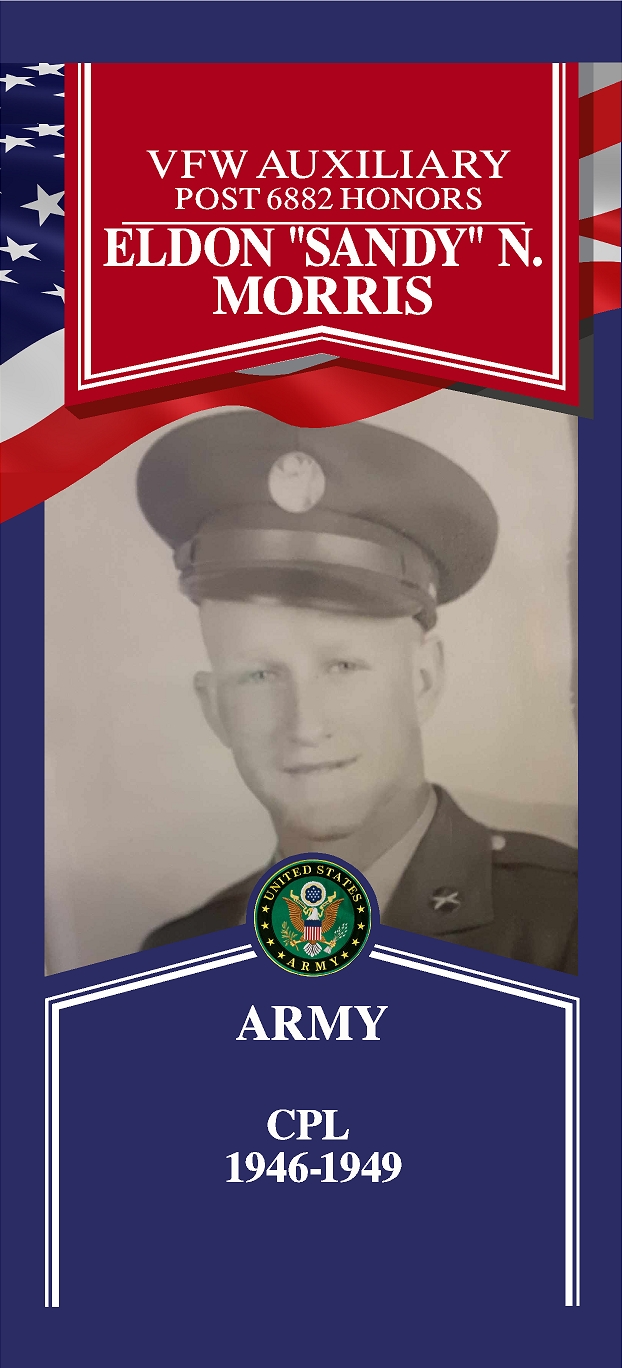 Local Heroes veteran tribute portrait