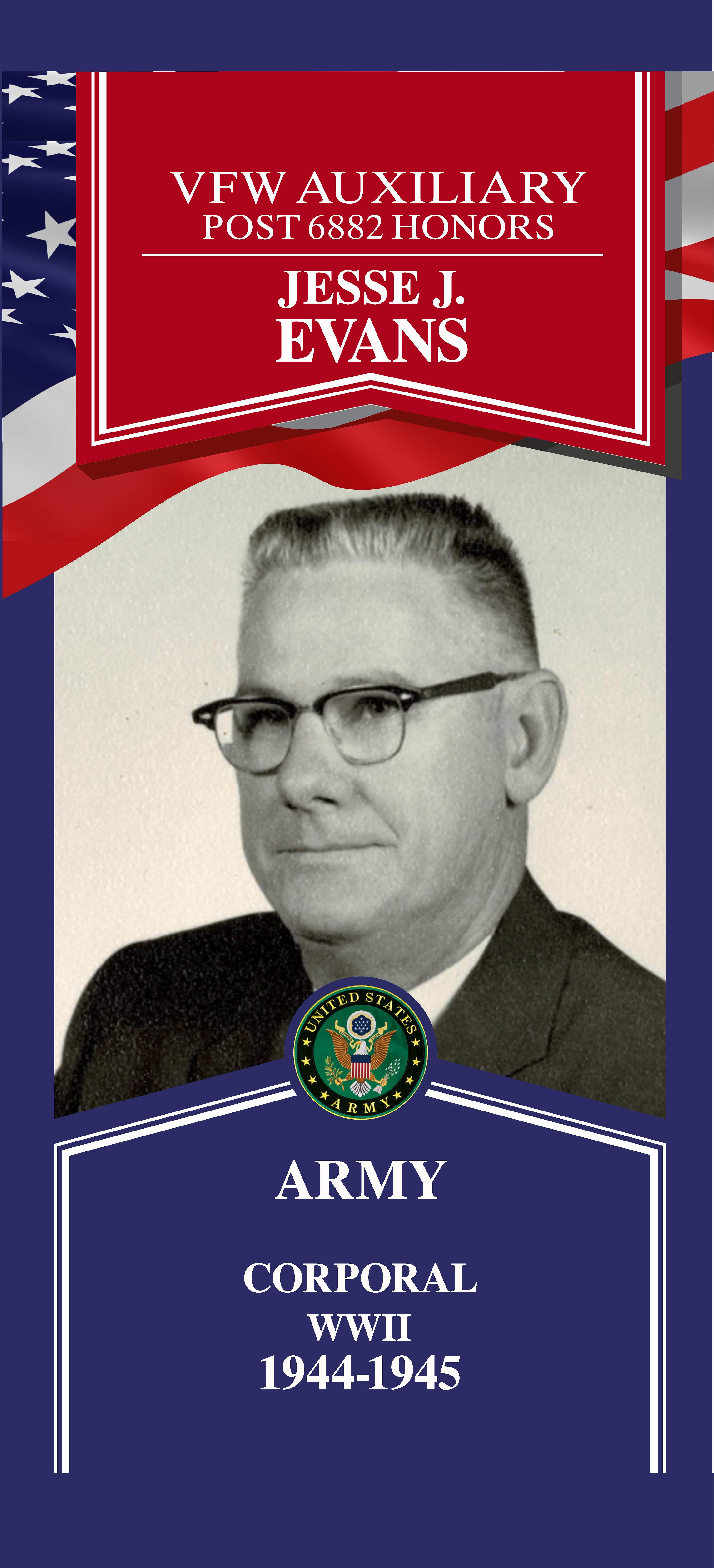 Local Heroes veteran tribute portrait