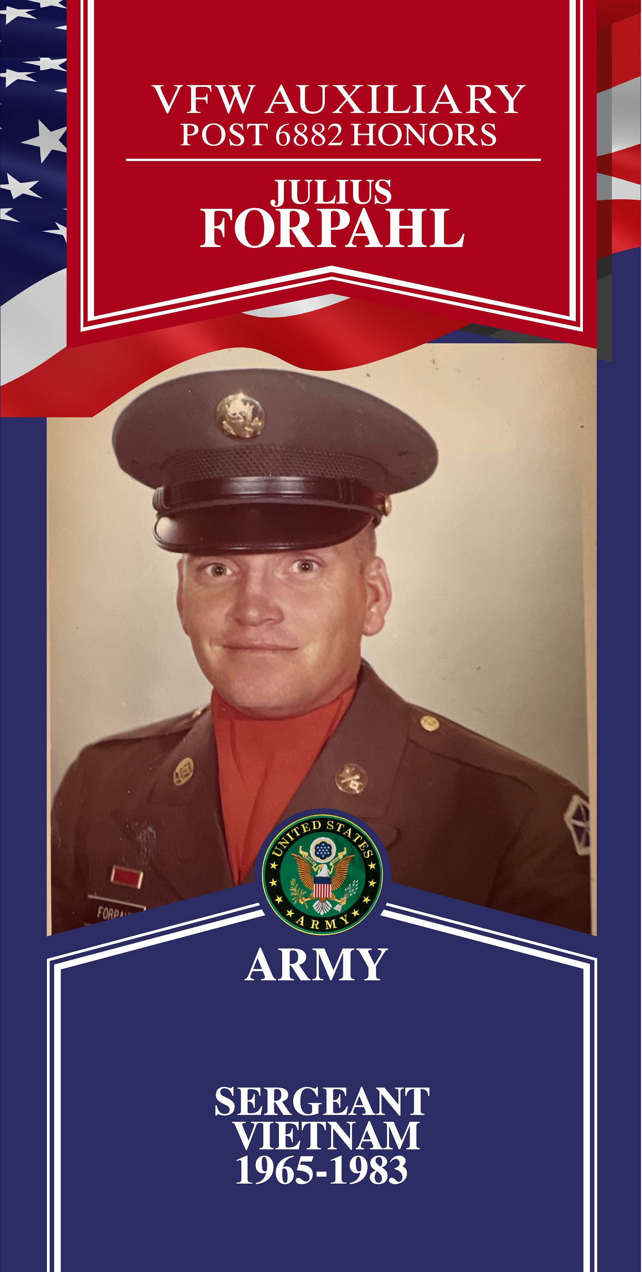 Local Heroes veteran tribute portrait