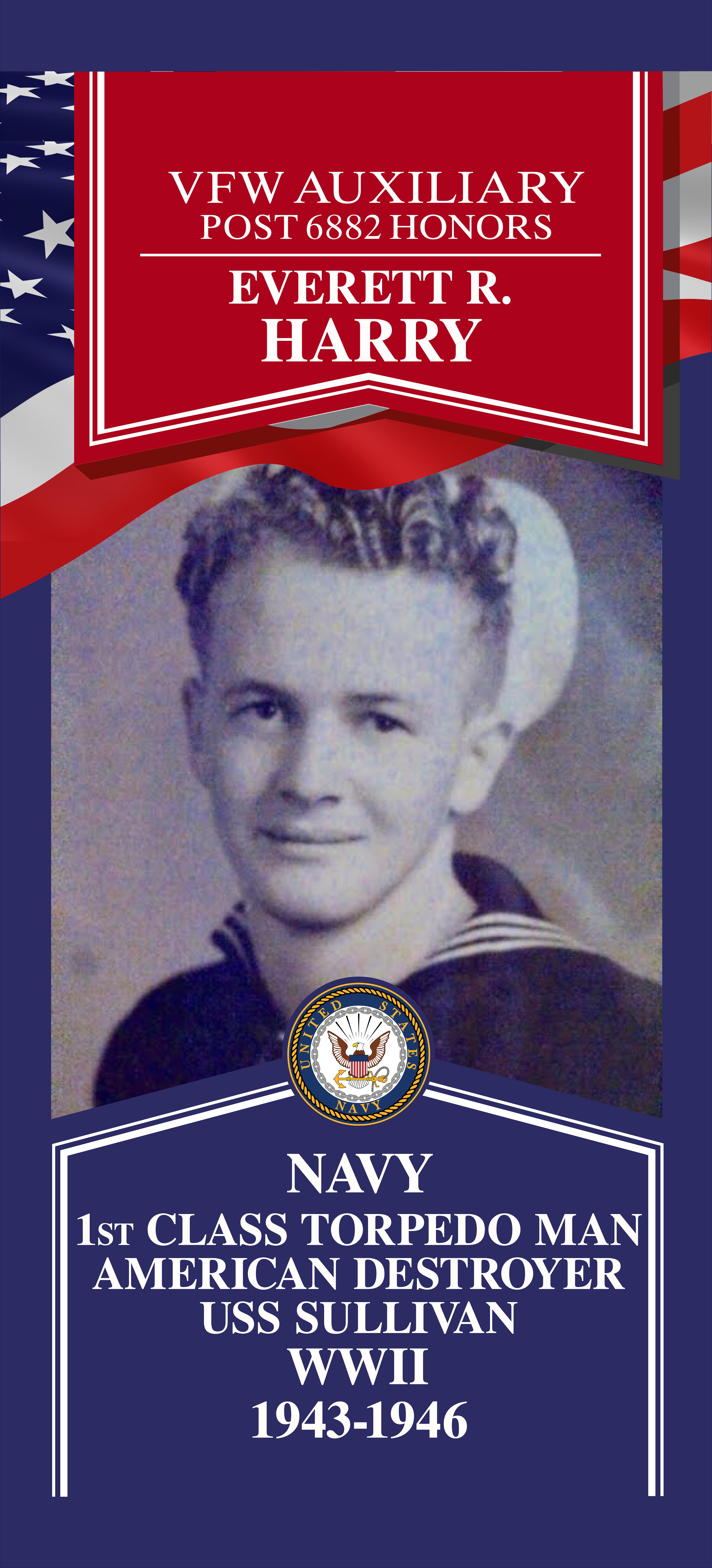 Local Heroes veteran tribute portrait