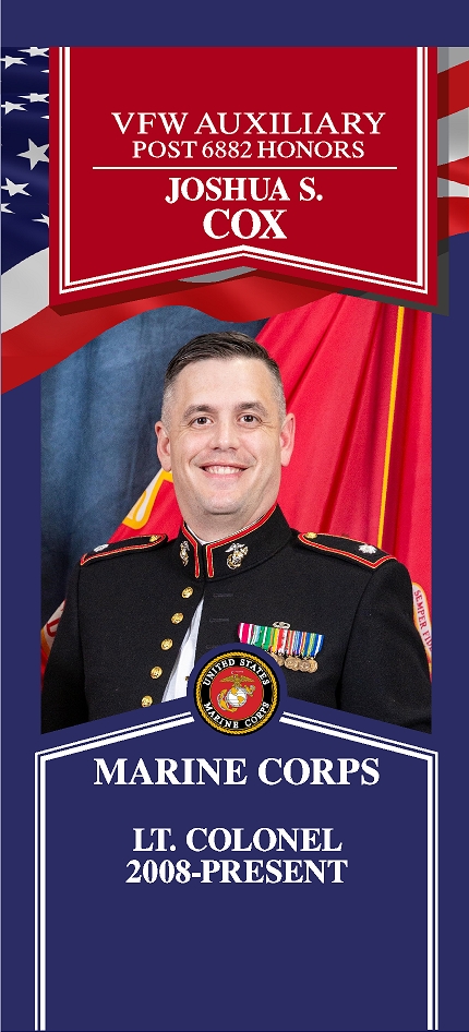 Local Heroes veteran tribute portrait