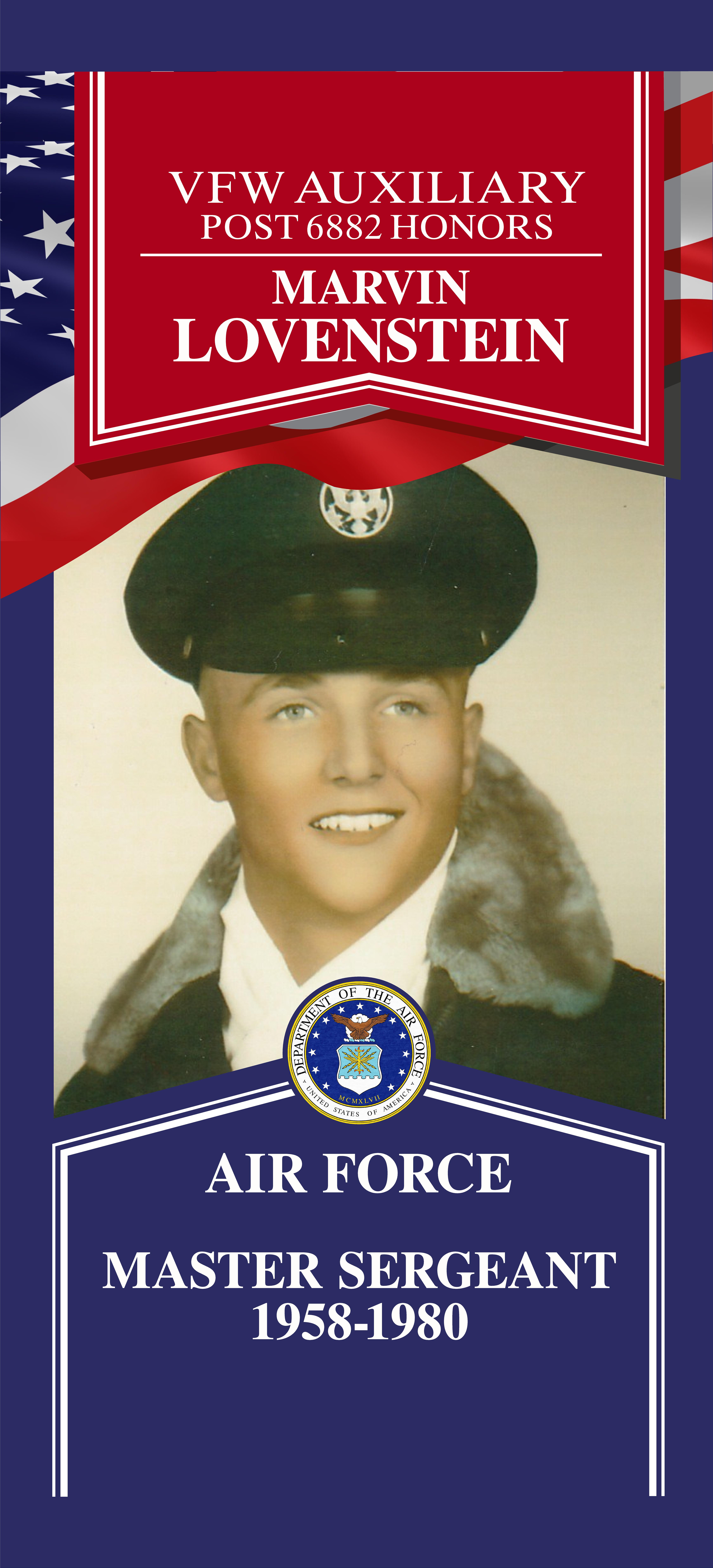 Local Heroes veteran tribute portrait