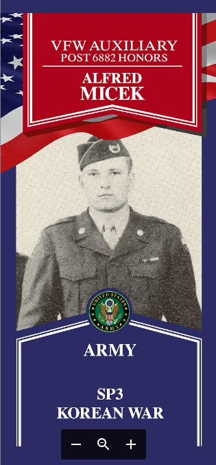 Local Heroes veteran tribute portrait