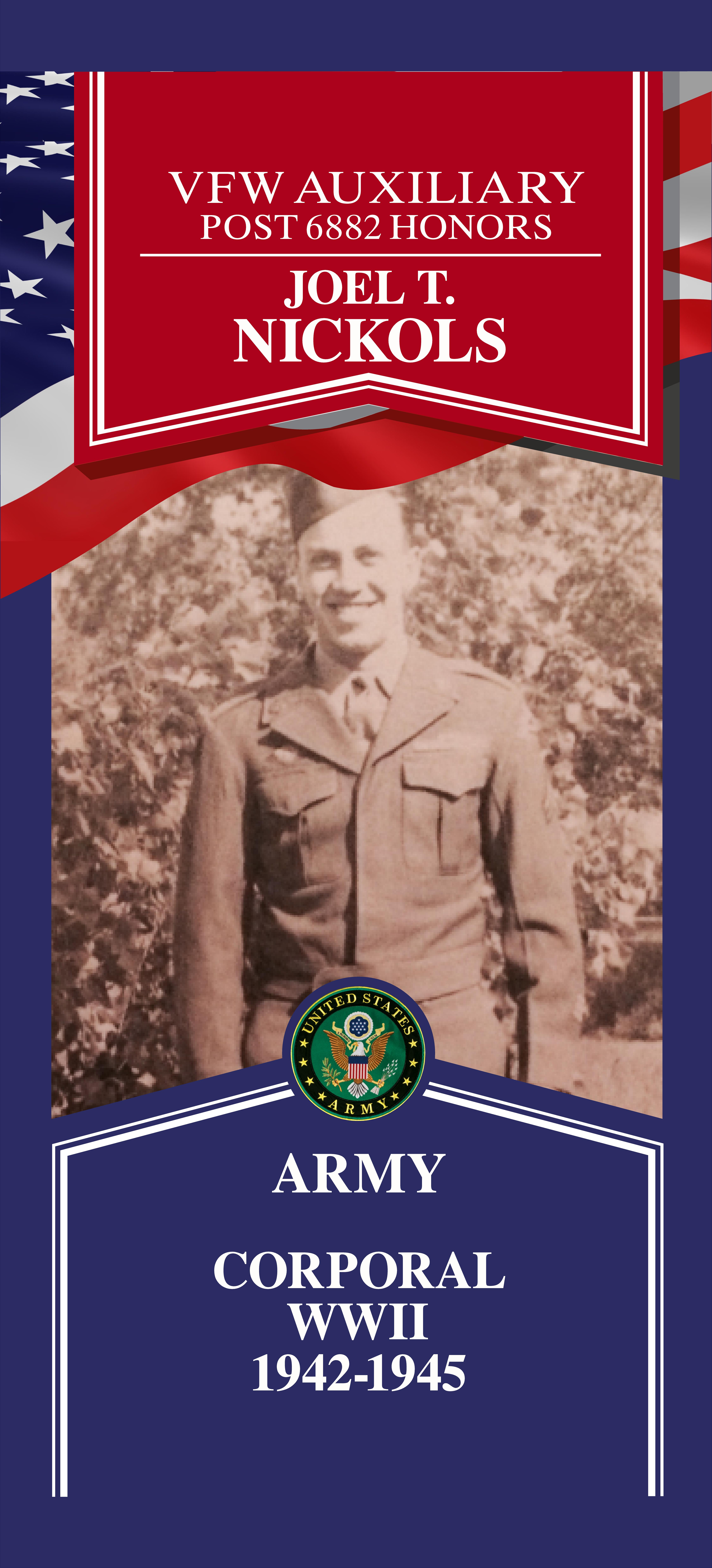 Local Heroes veteran tribute portrait