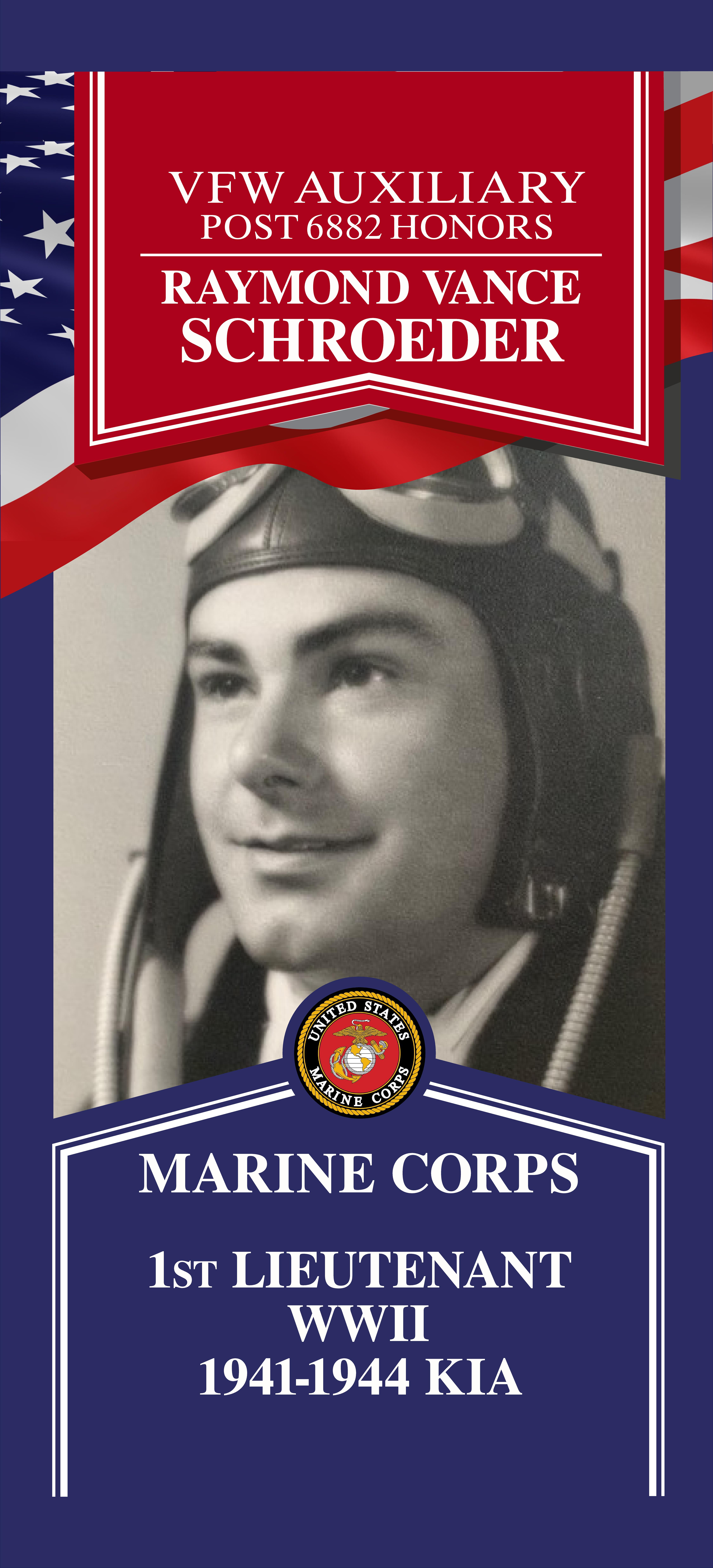 Local Heroes veteran tribute portrait