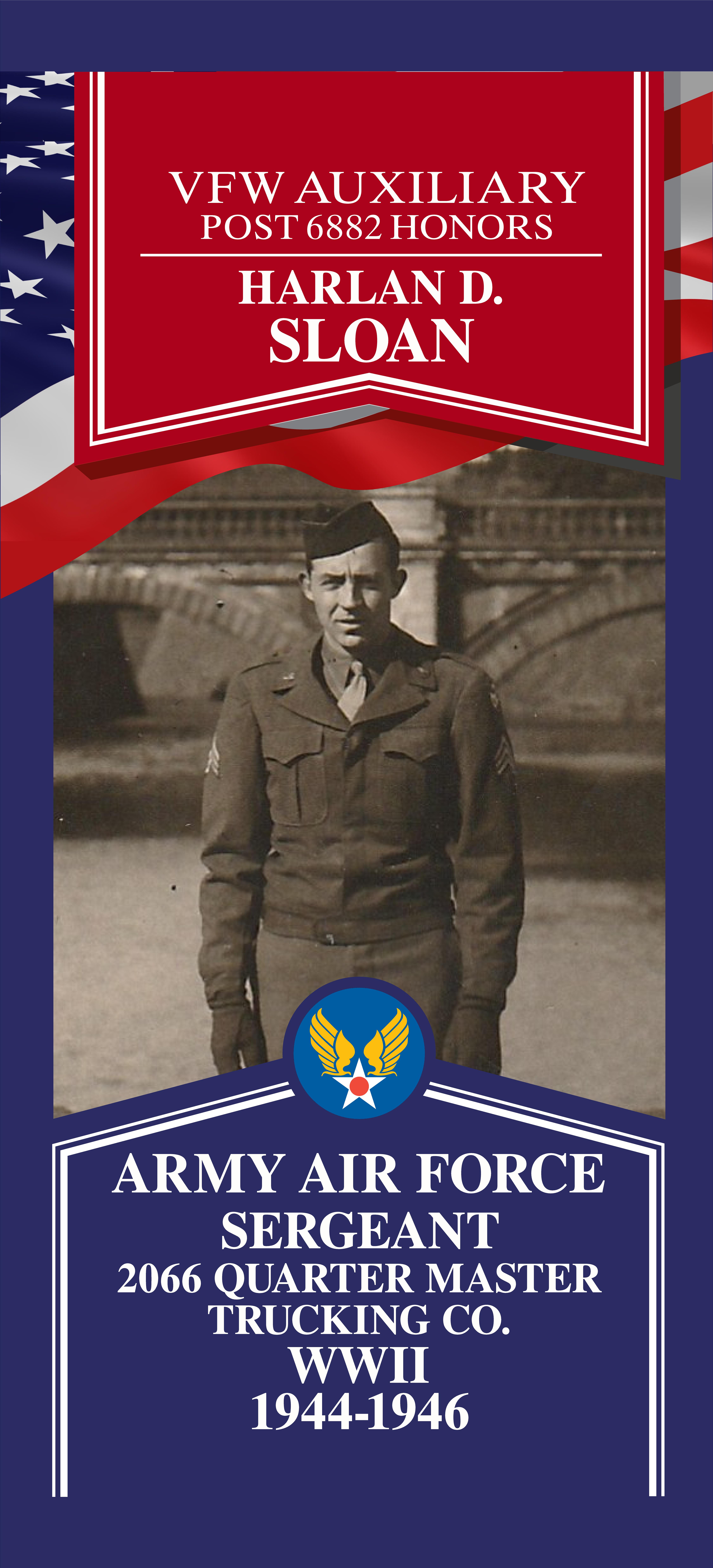 Local Heroes veteran tribute portrait