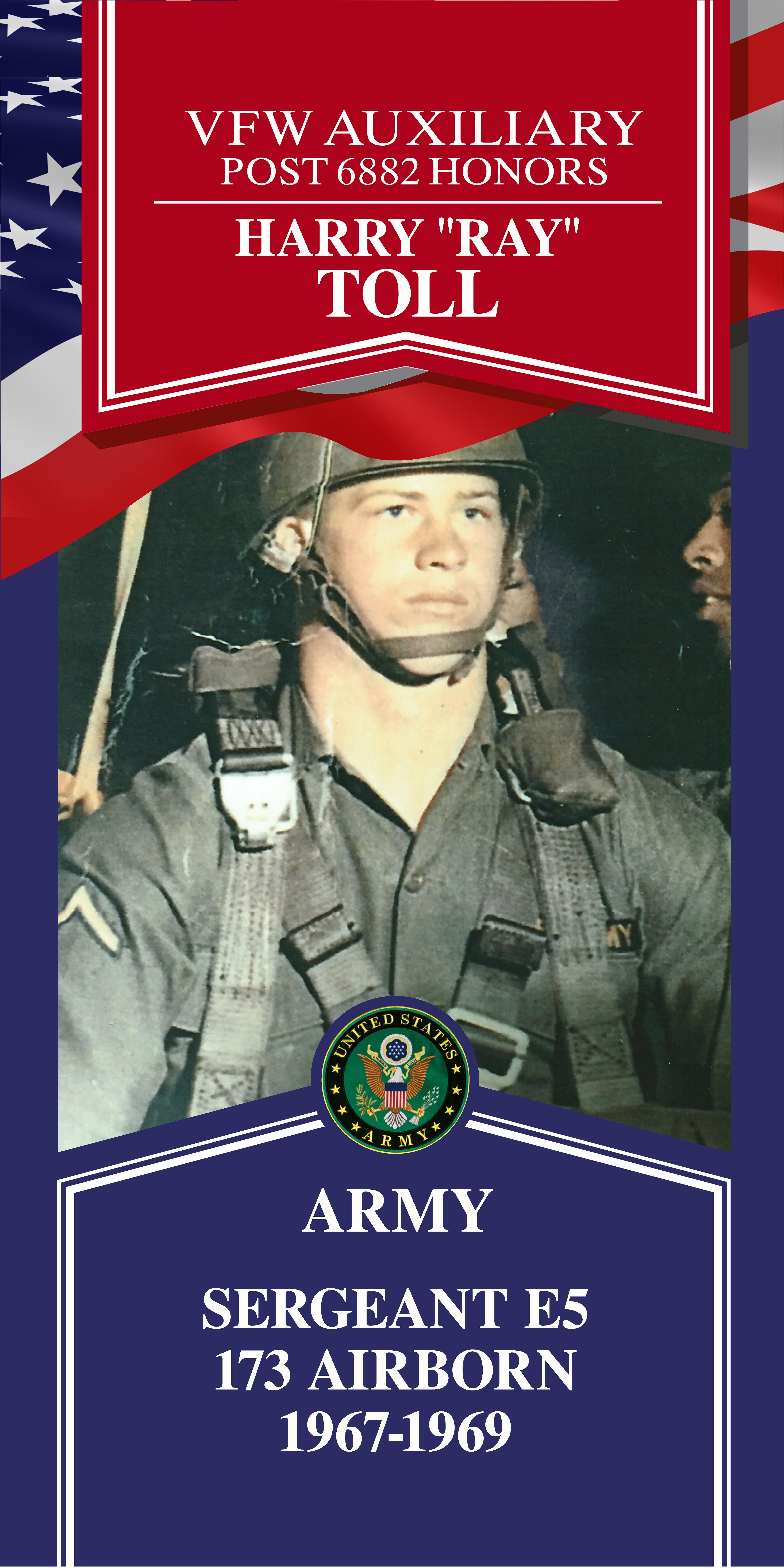 Local Heroes veteran tribute portrait