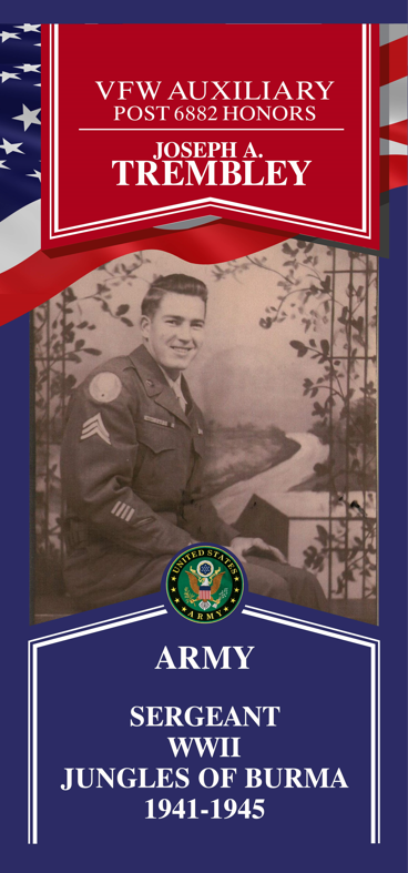 Local Heroes veteran tribute portrait