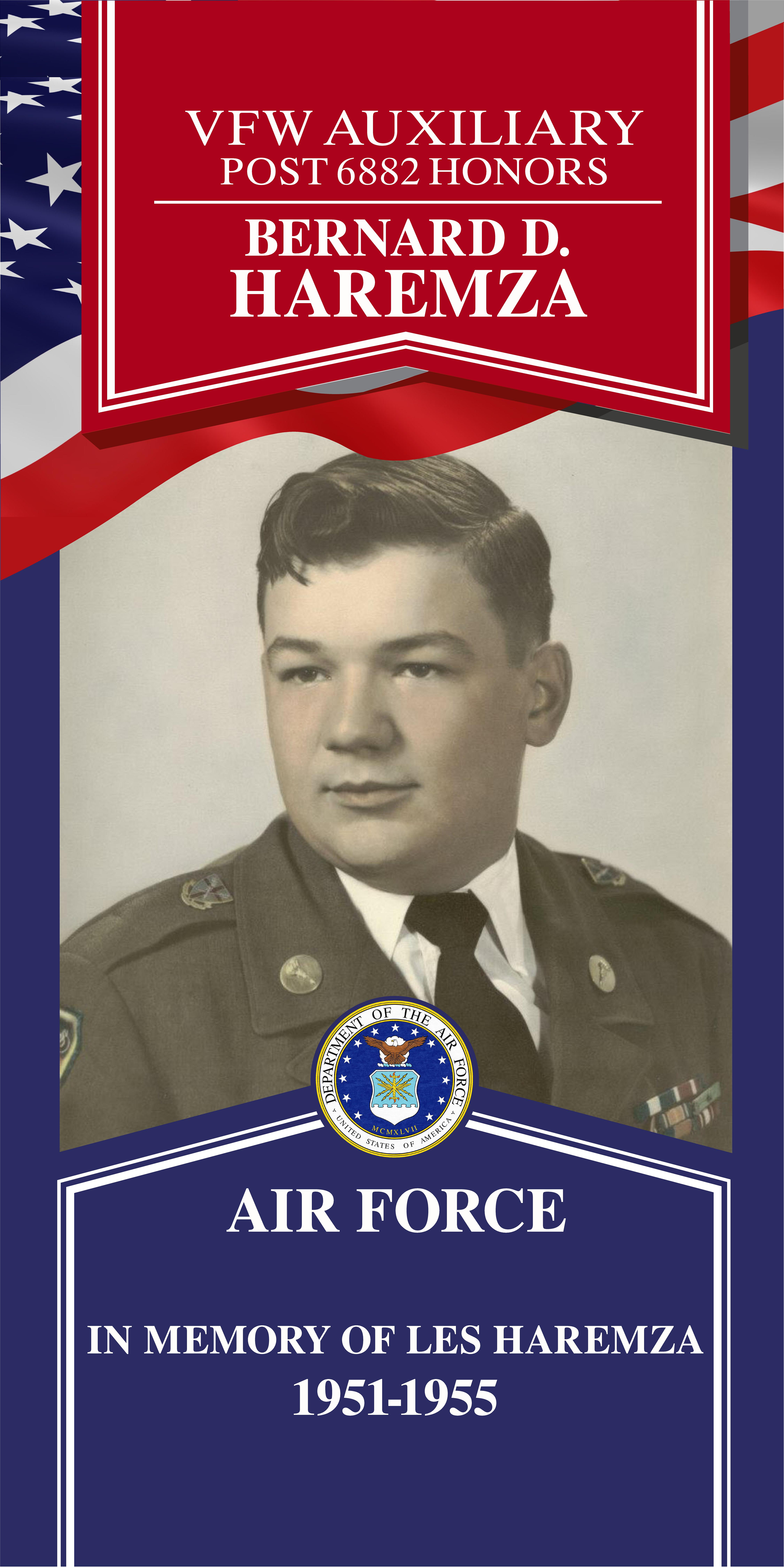 Local Heroes veteran tribute portrait