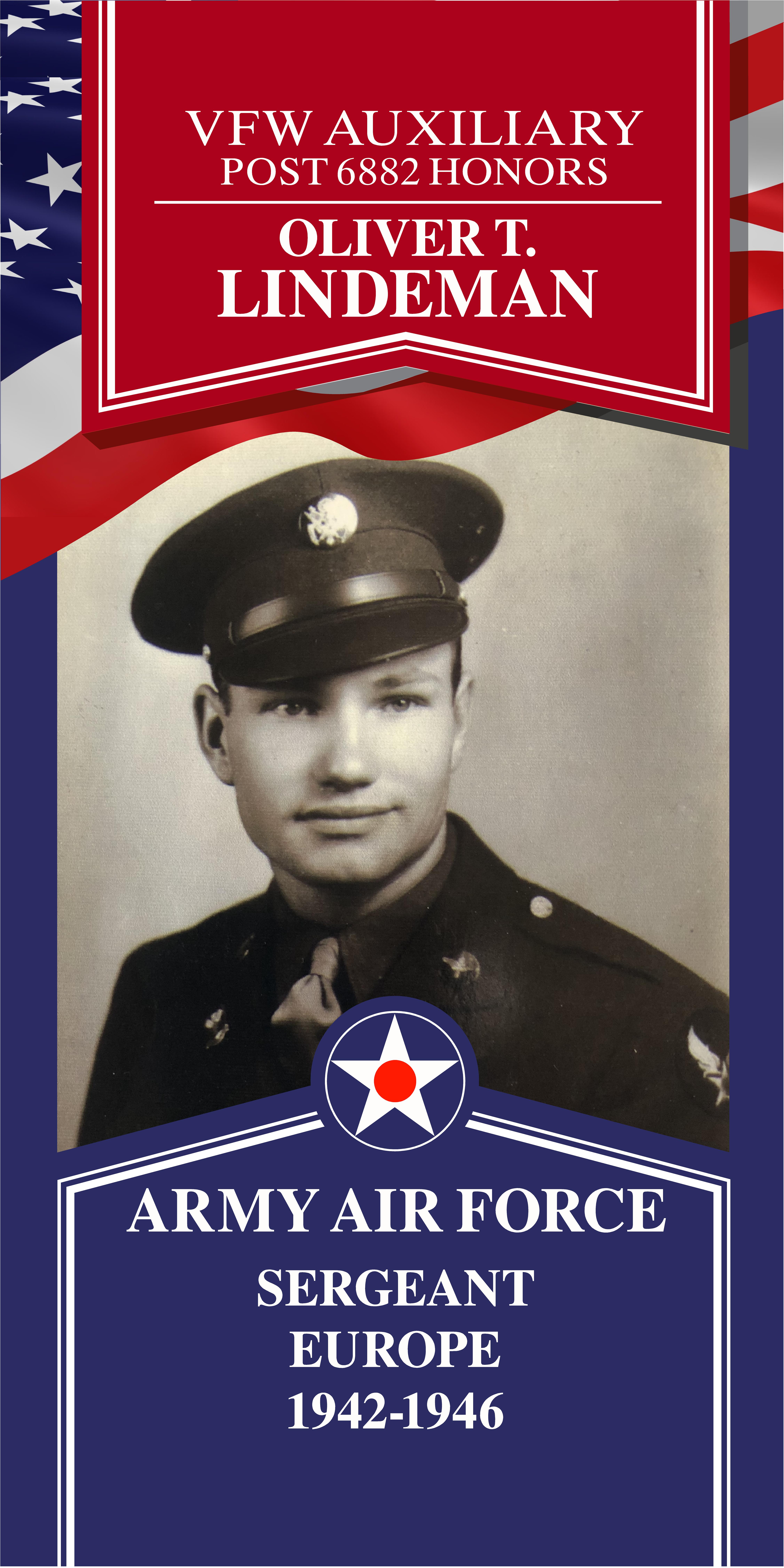 Local Heroes veteran tribute portrait