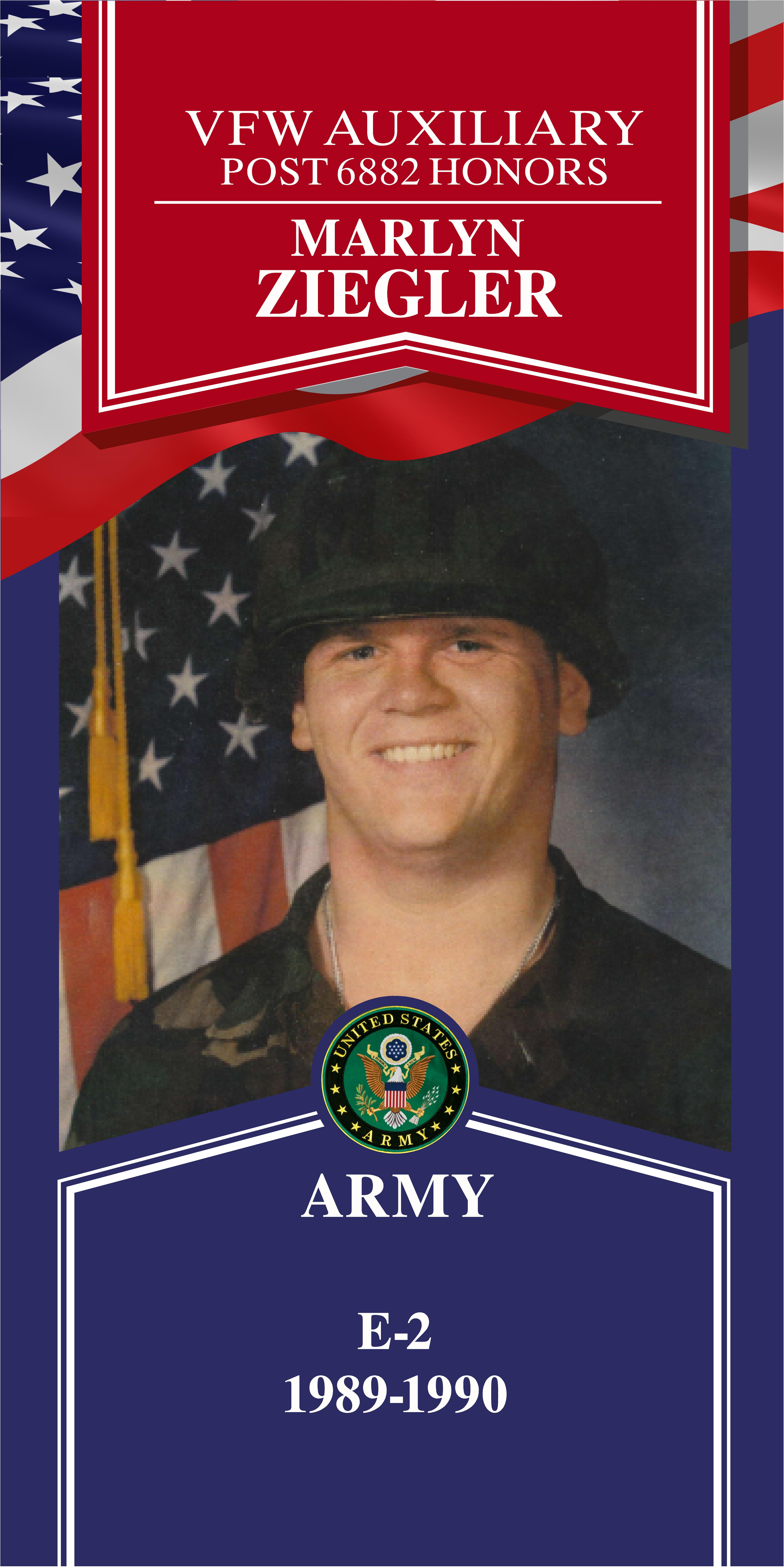 Local Heroes veteran tribute portrait