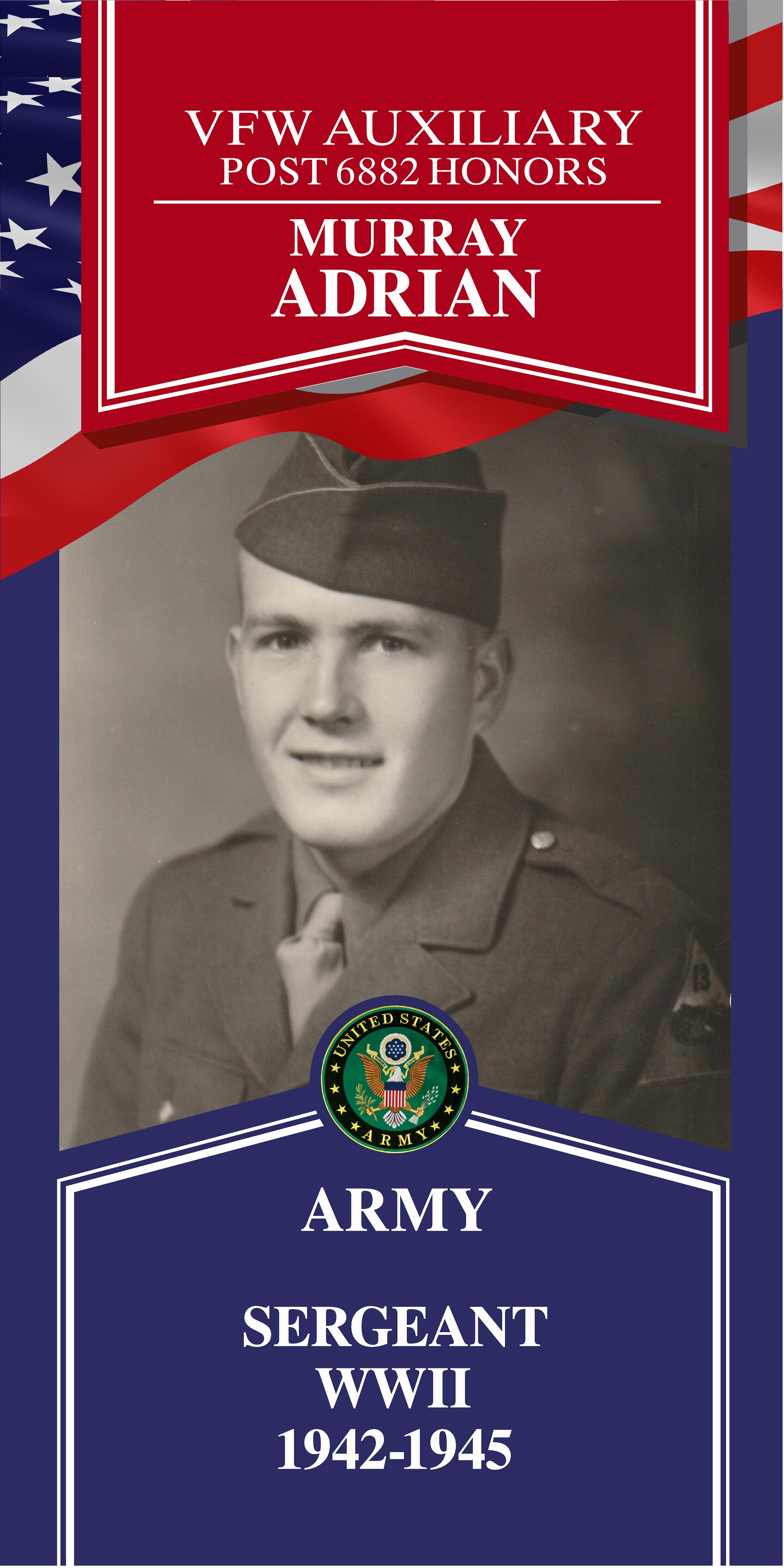 Local Heroes veteran tribute portrait