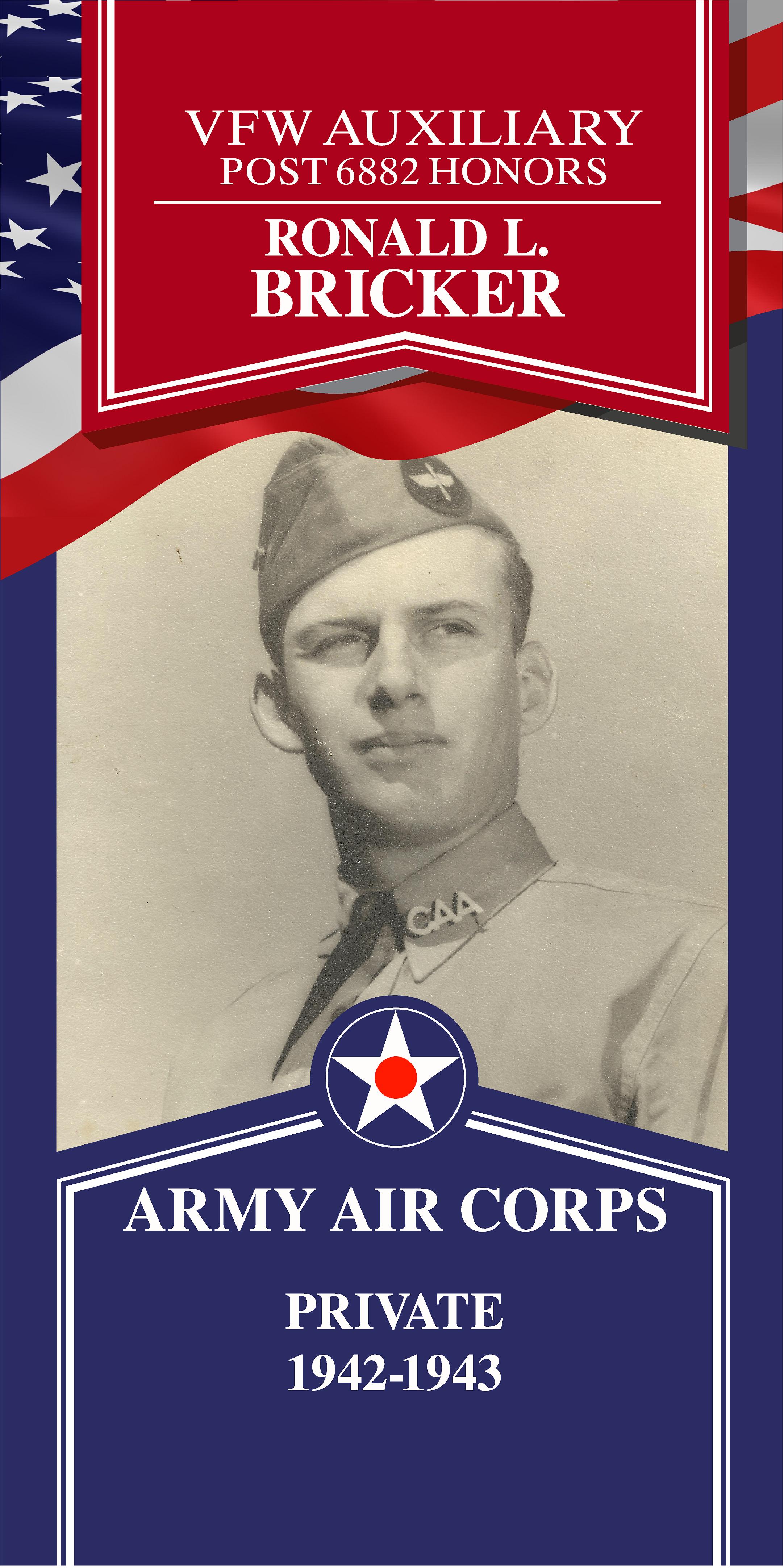 Local Heroes veteran tribute portrait