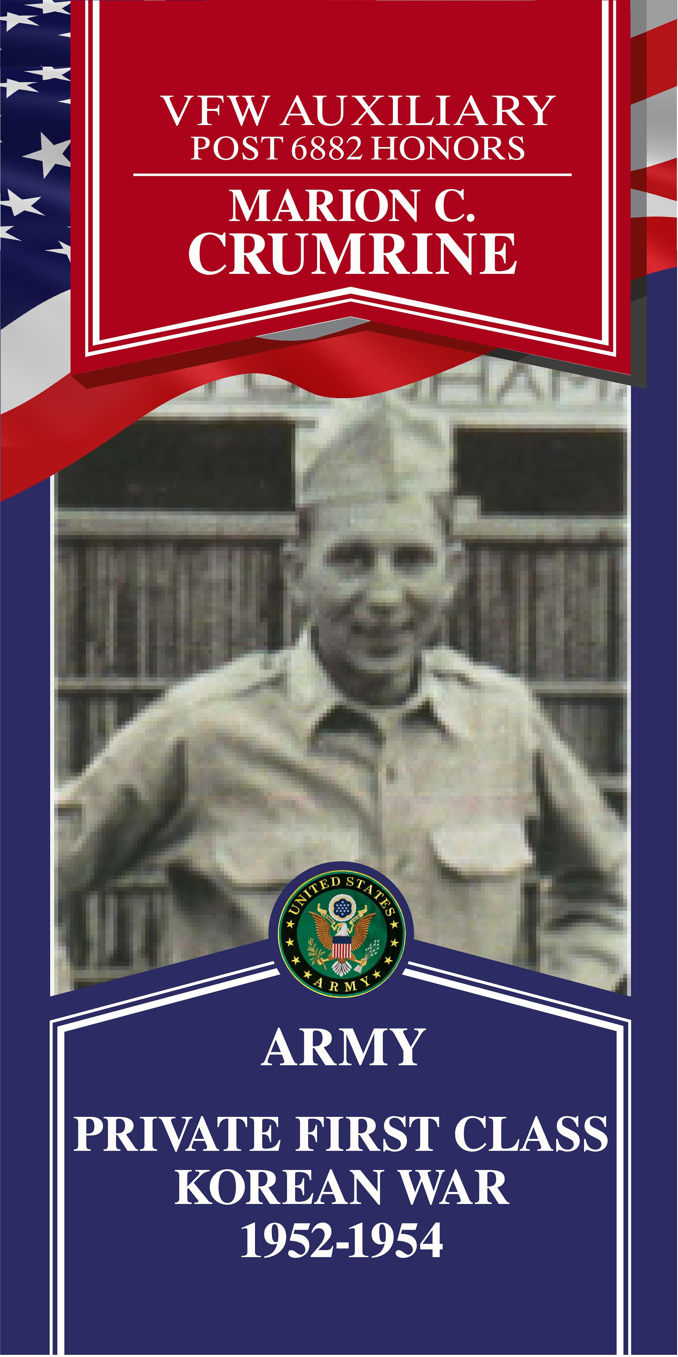 Local Heroes veteran tribute portrait