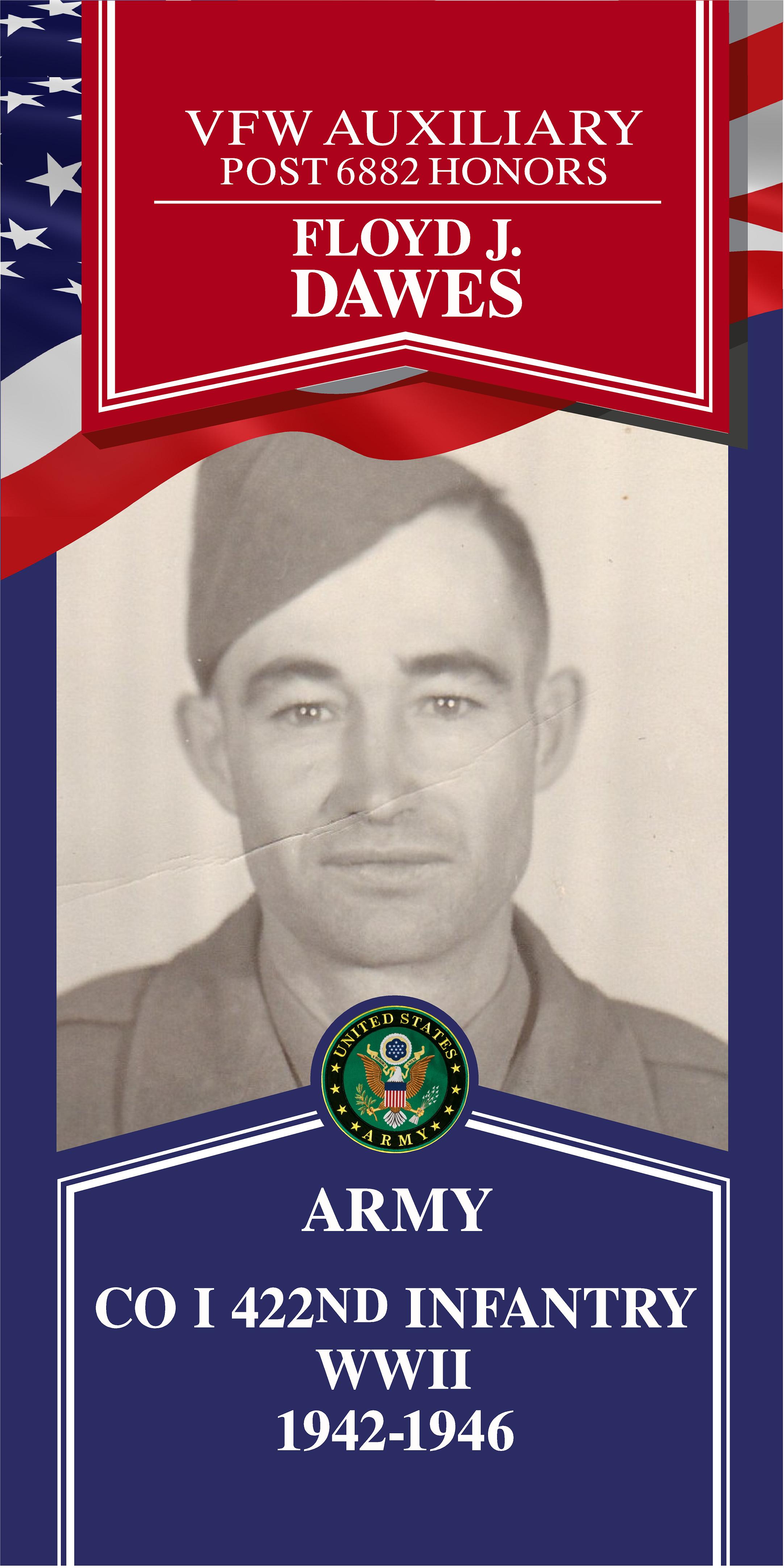 Local Heroes veteran tribute portrait