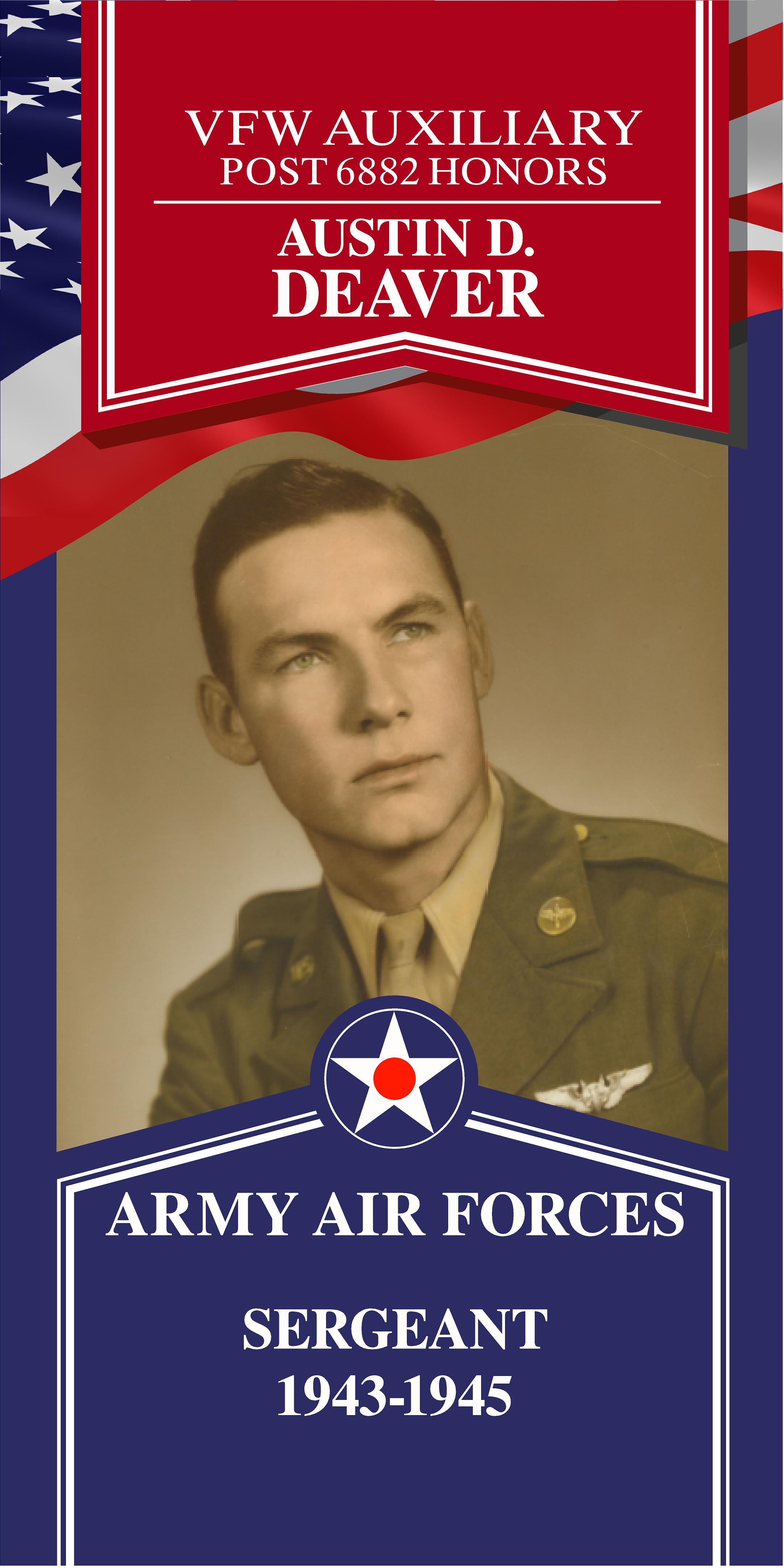 Local Heroes veteran tribute portrait