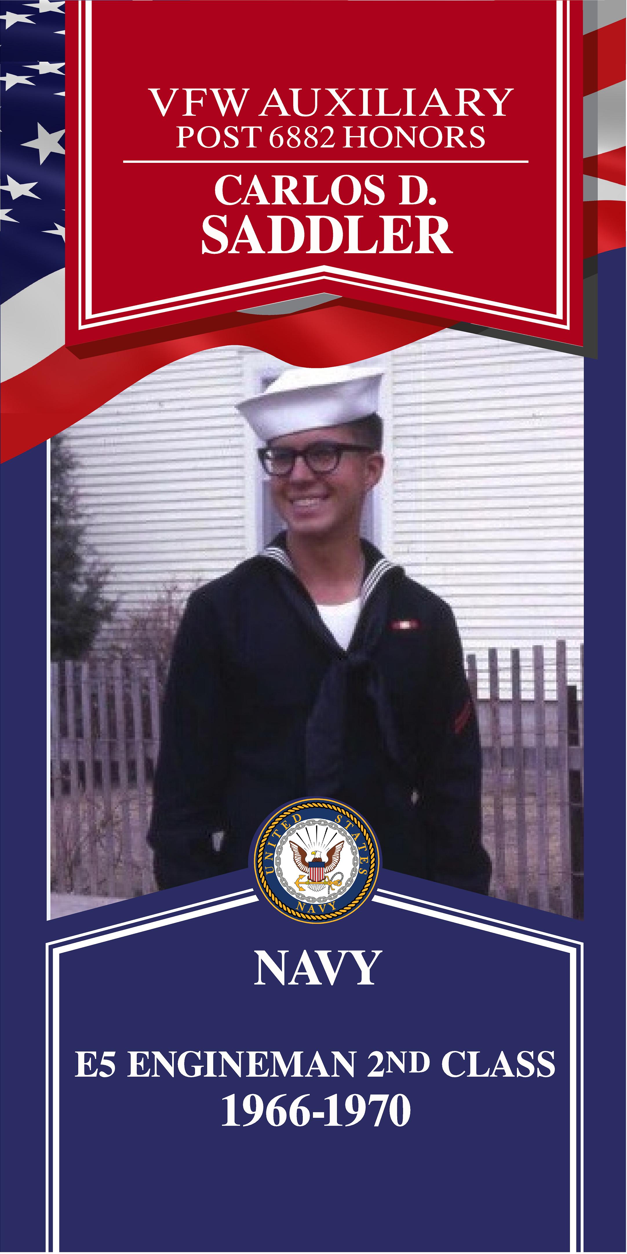 Local Heroes veteran tribute portrait