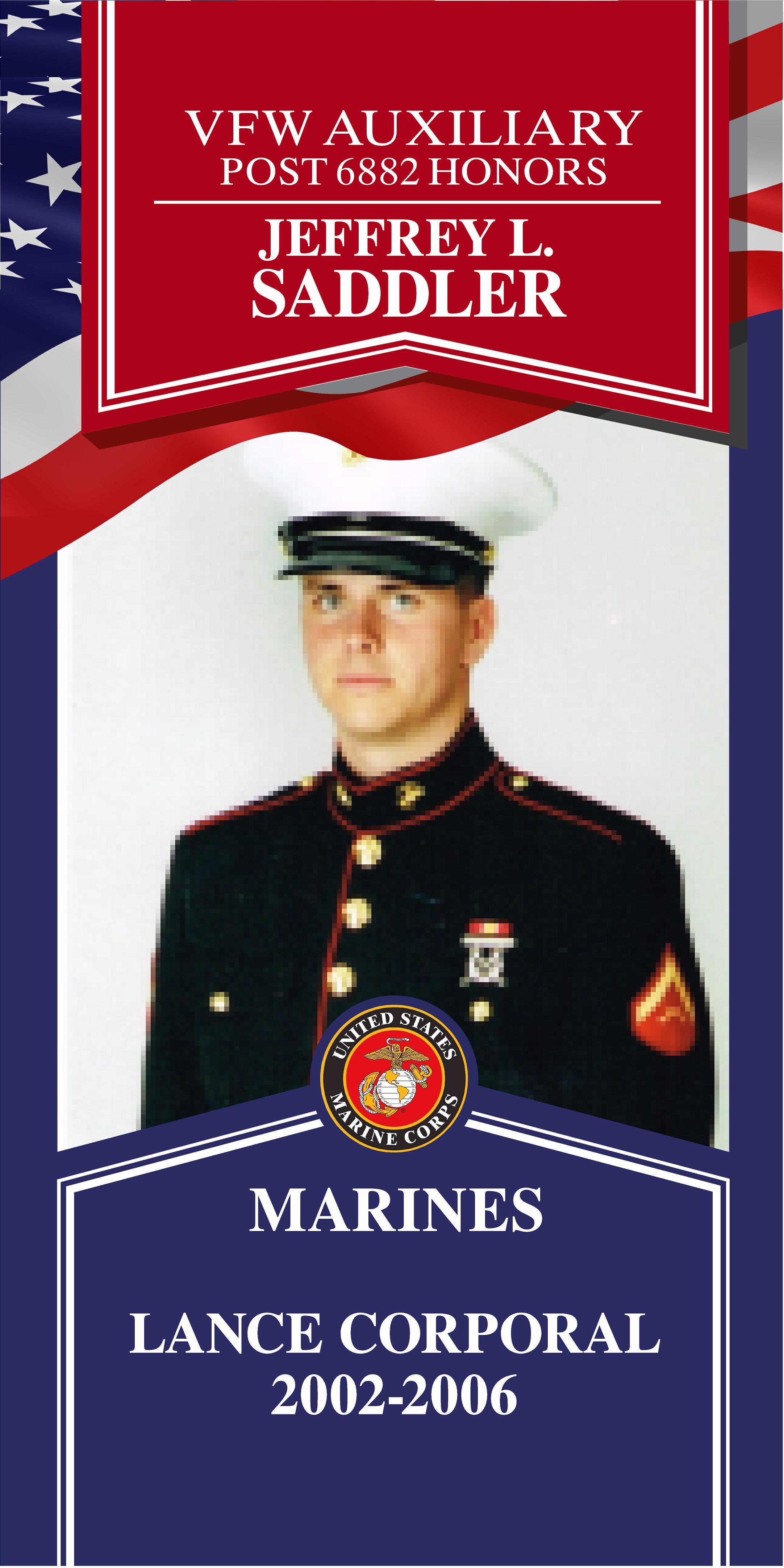 Local Heroes veteran tribute portrait