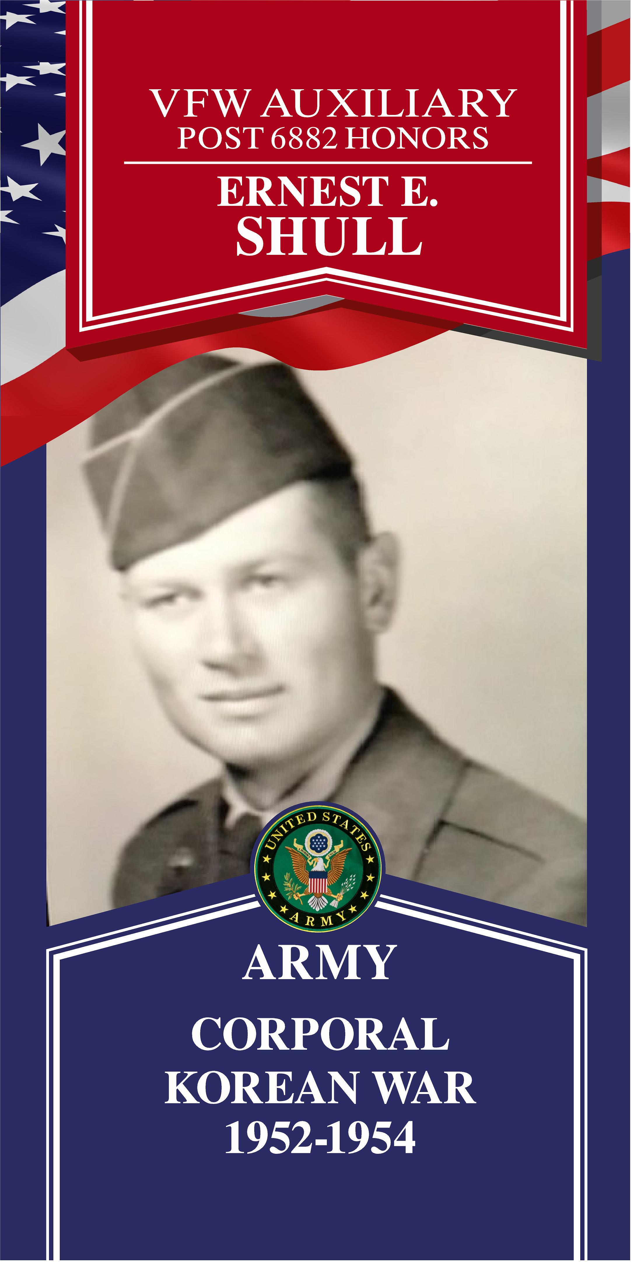 Local Heroes veteran tribute portrait