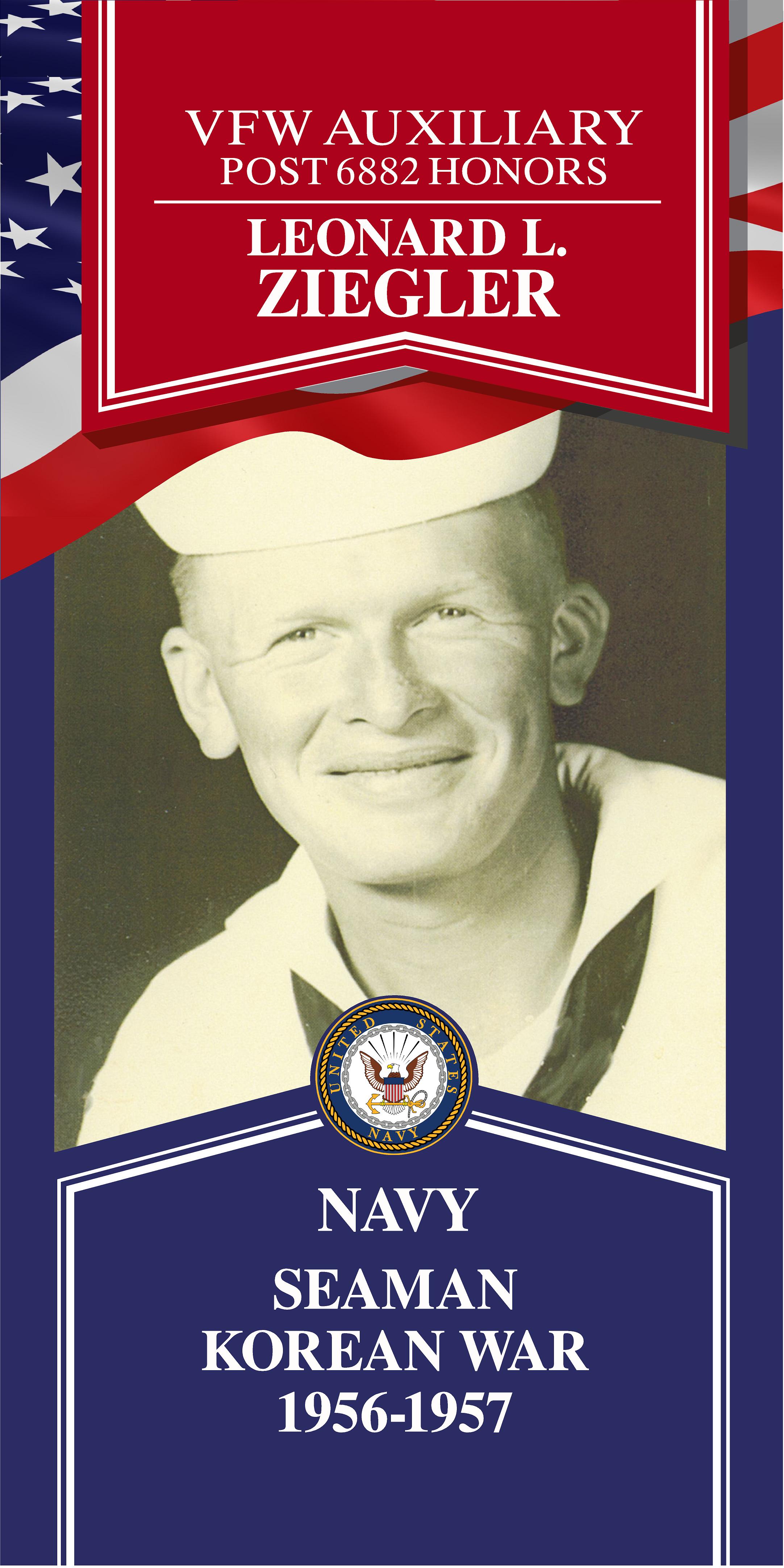 Local Heroes veteran tribute portrait