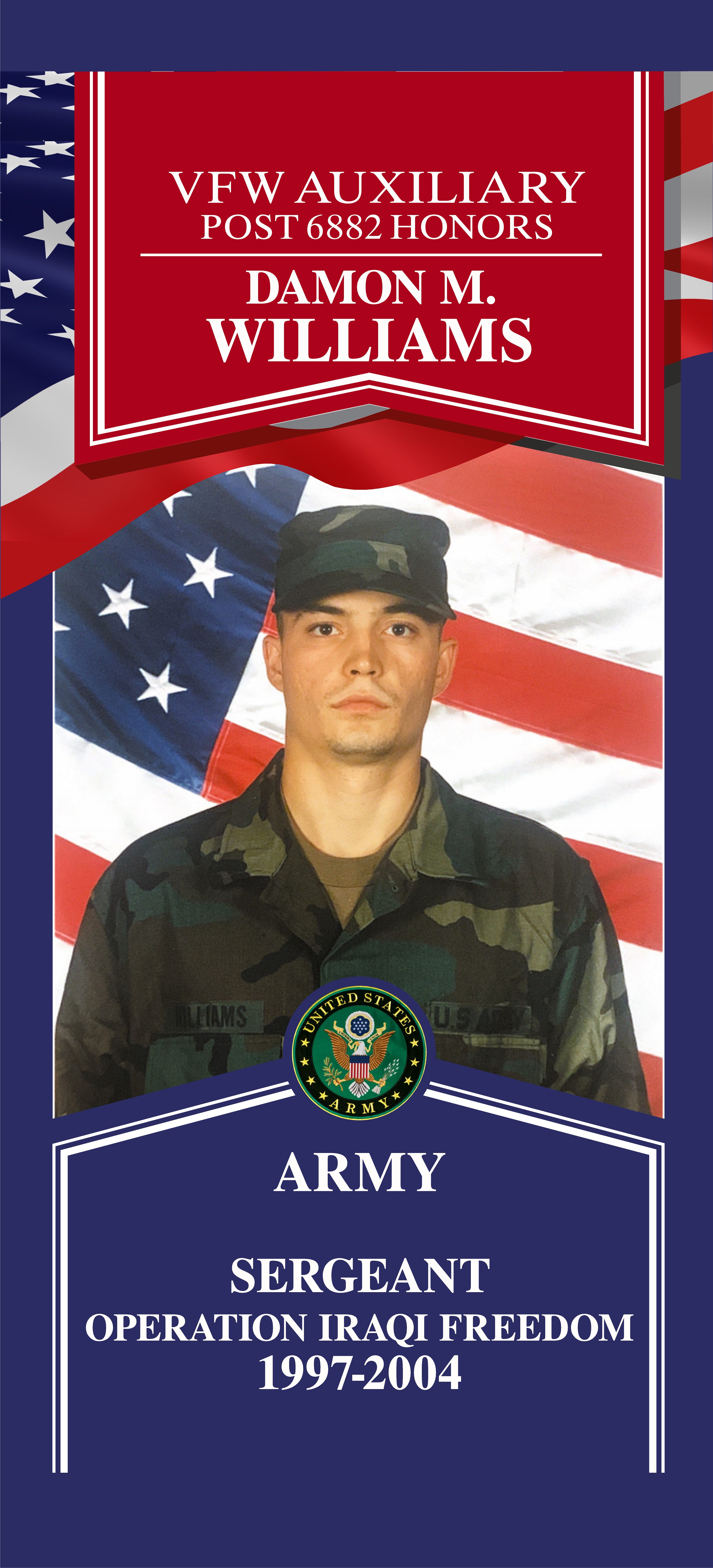 Local Heroes veteran tribute portrait