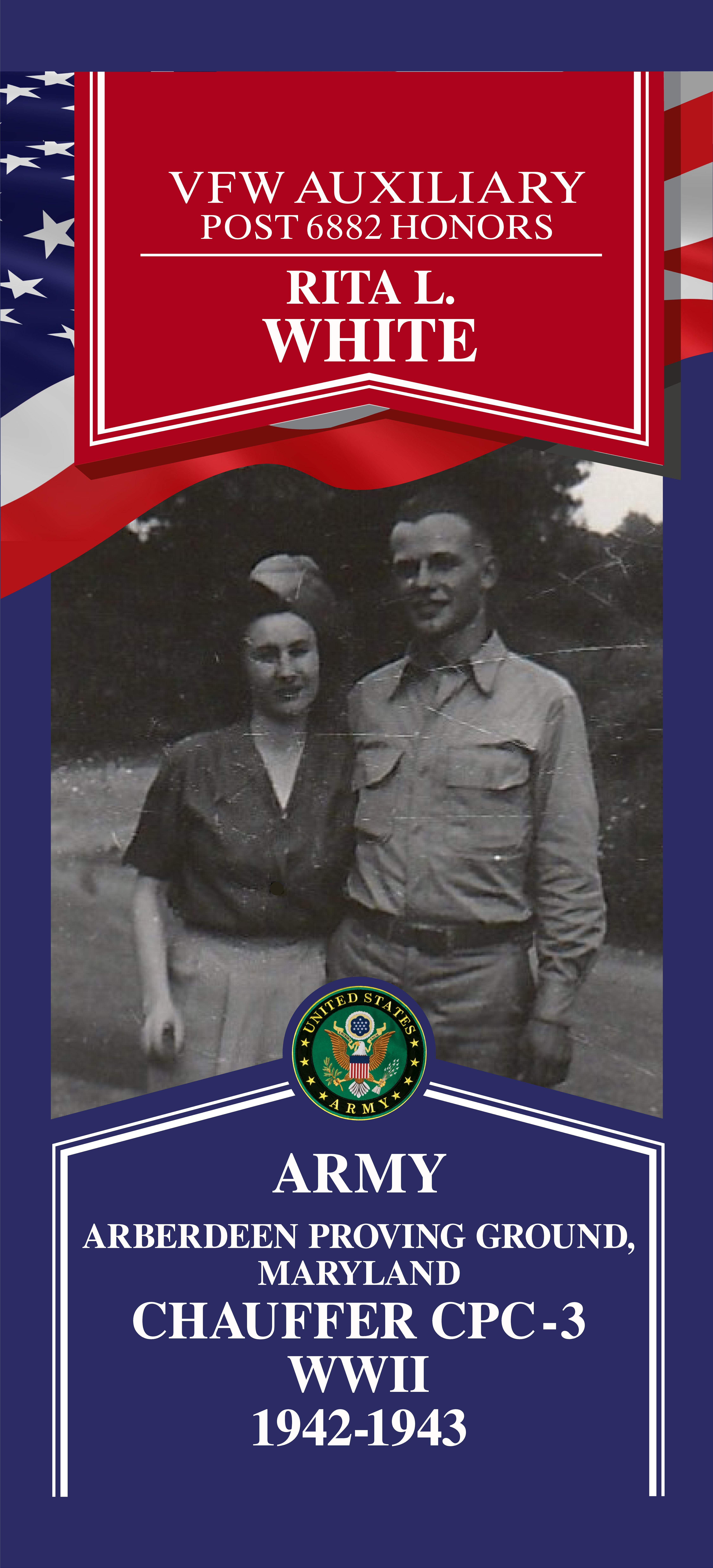 Local Heroes veteran tribute portrait
