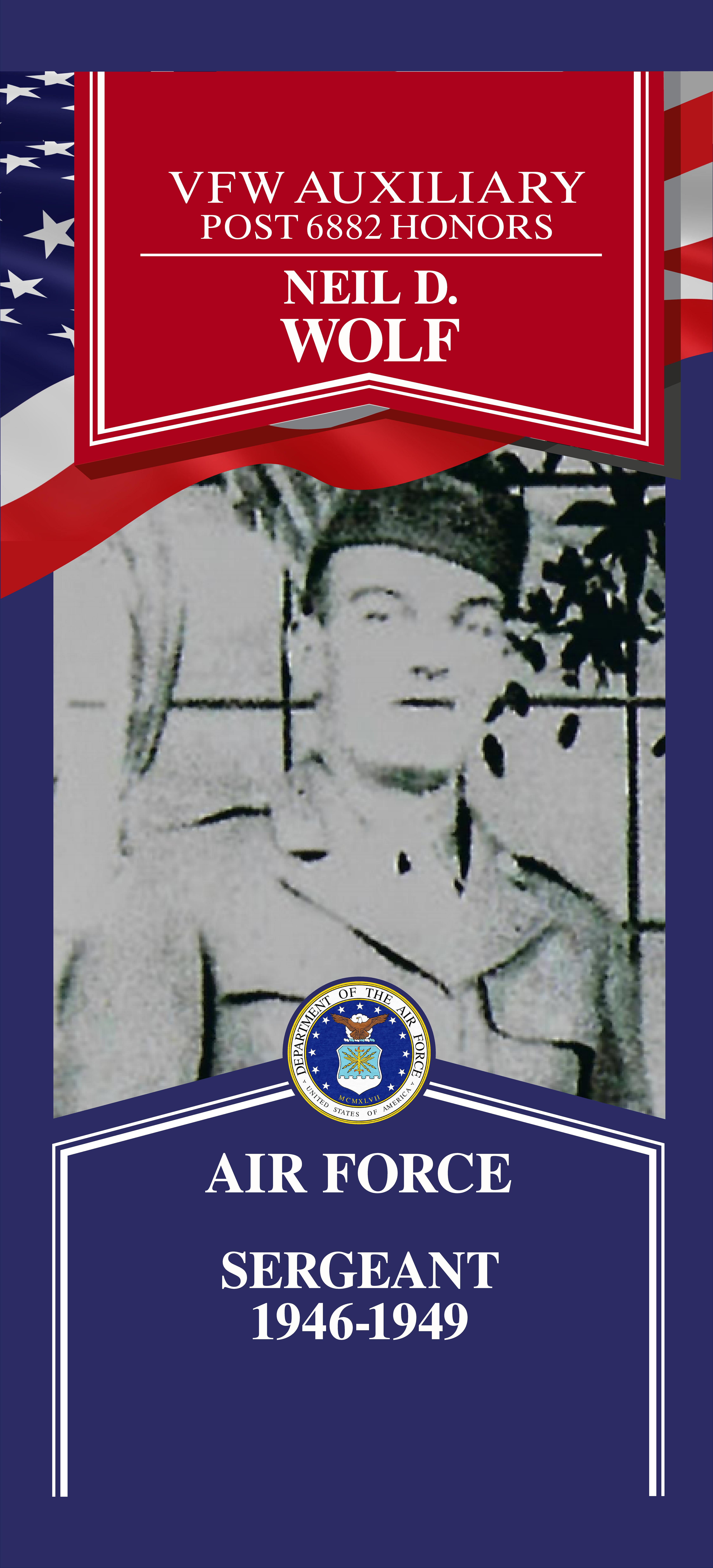 Local Heroes veteran tribute portrait