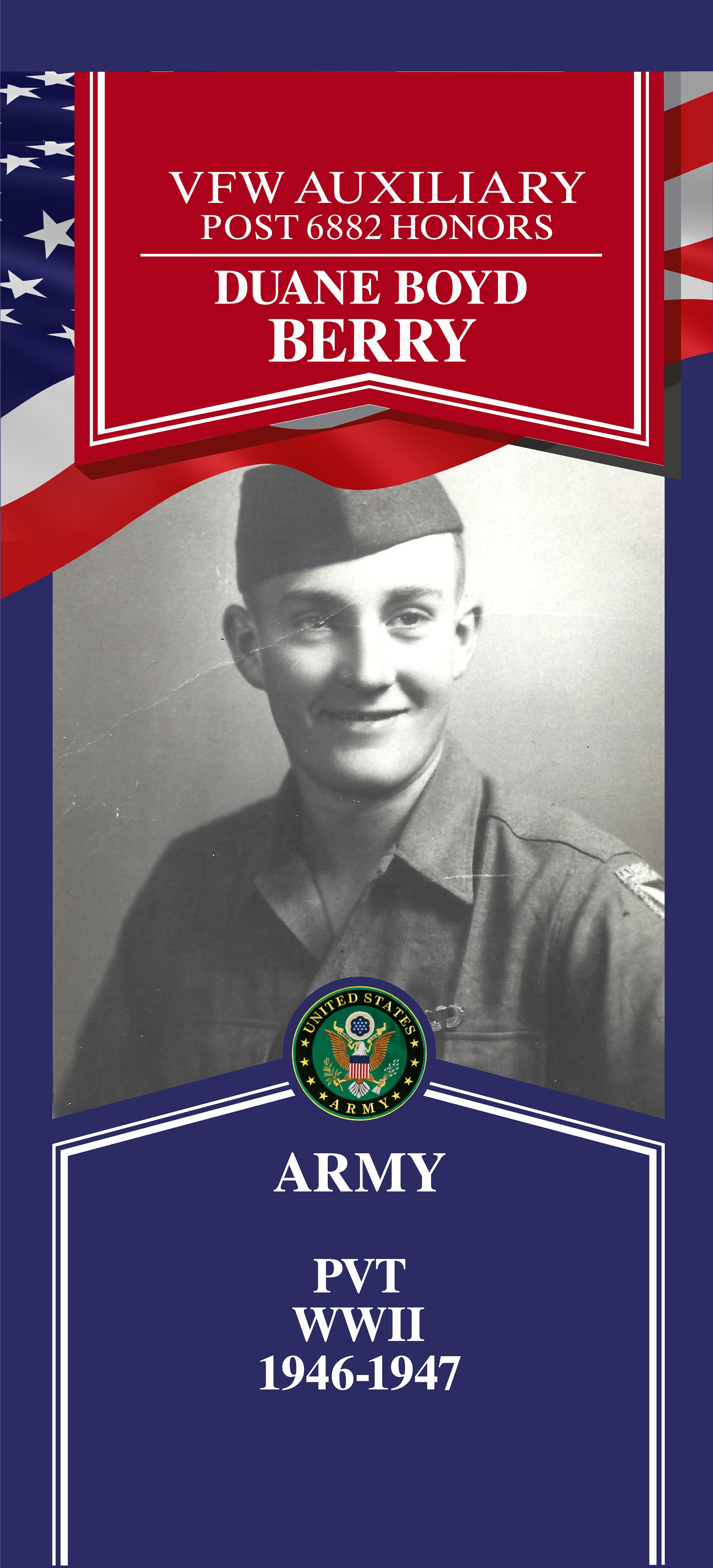 Local Heroes veteran tribute portrait