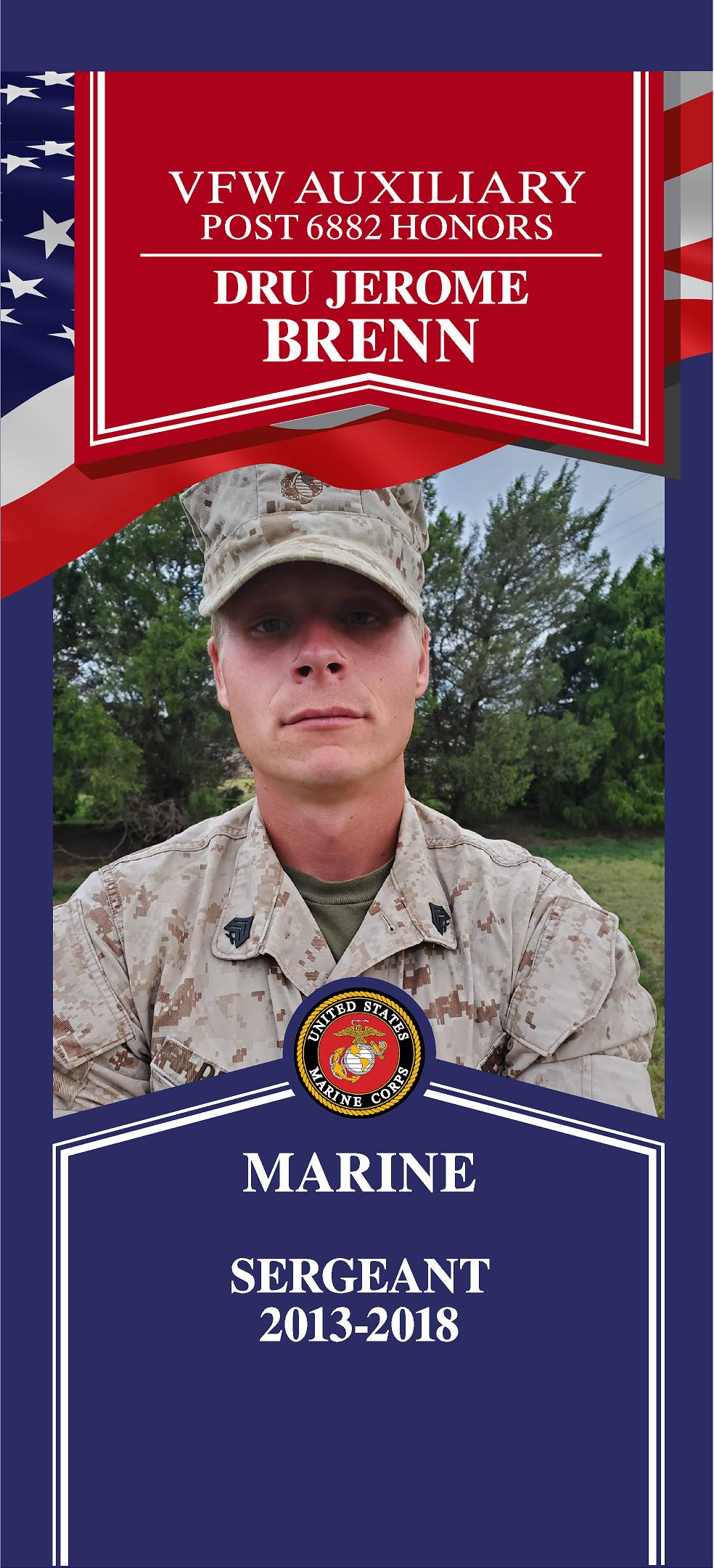 Local Heroes veteran tribute portrait