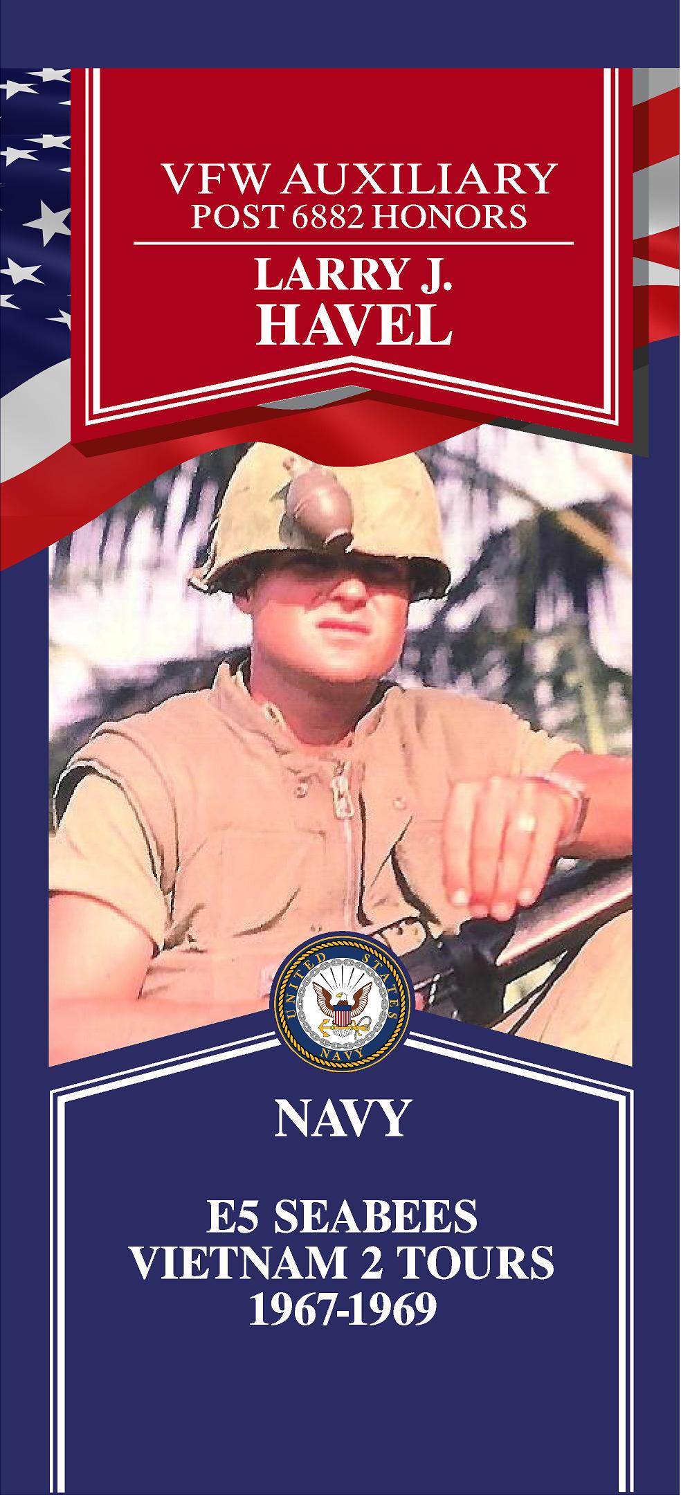 Local Heroes veteran tribute portrait