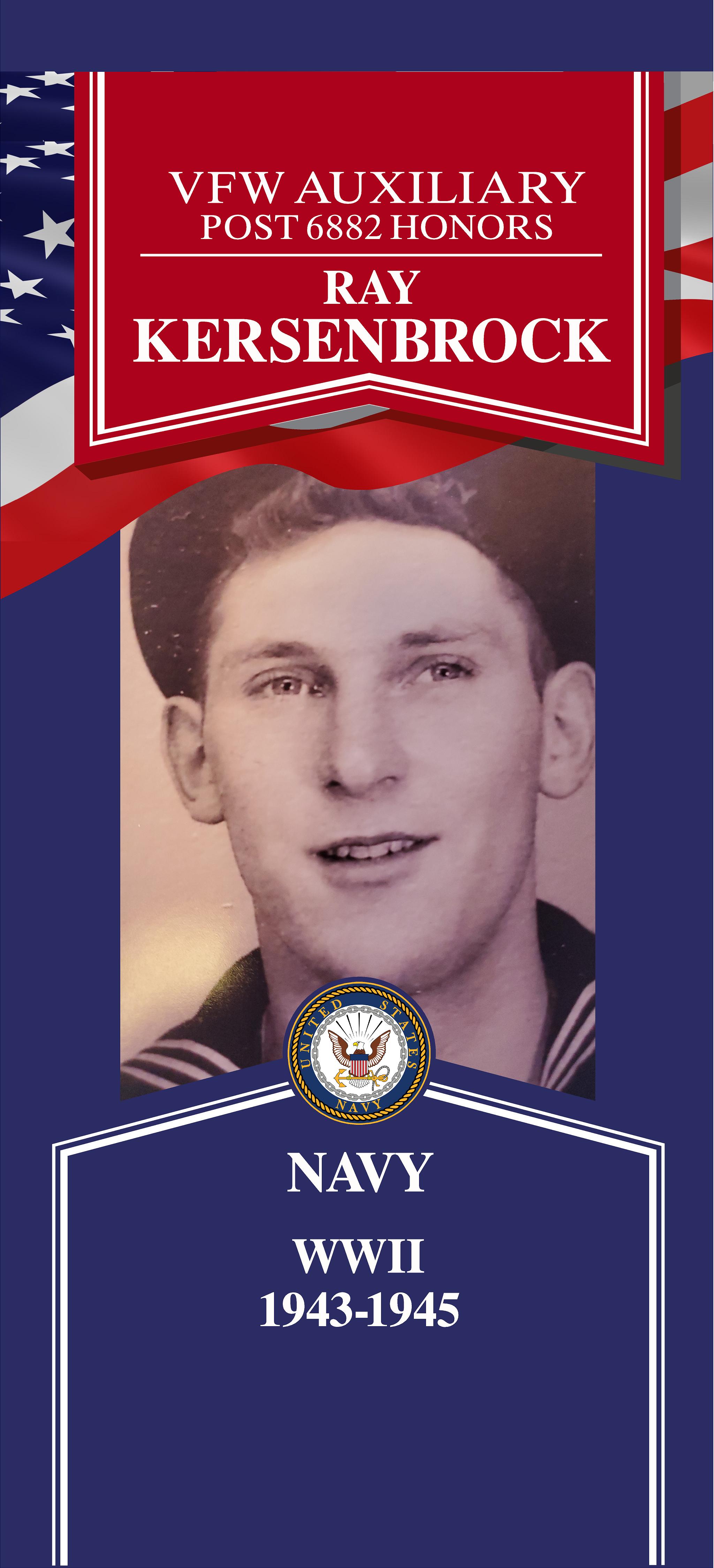 Local Heroes veteran tribute portrait