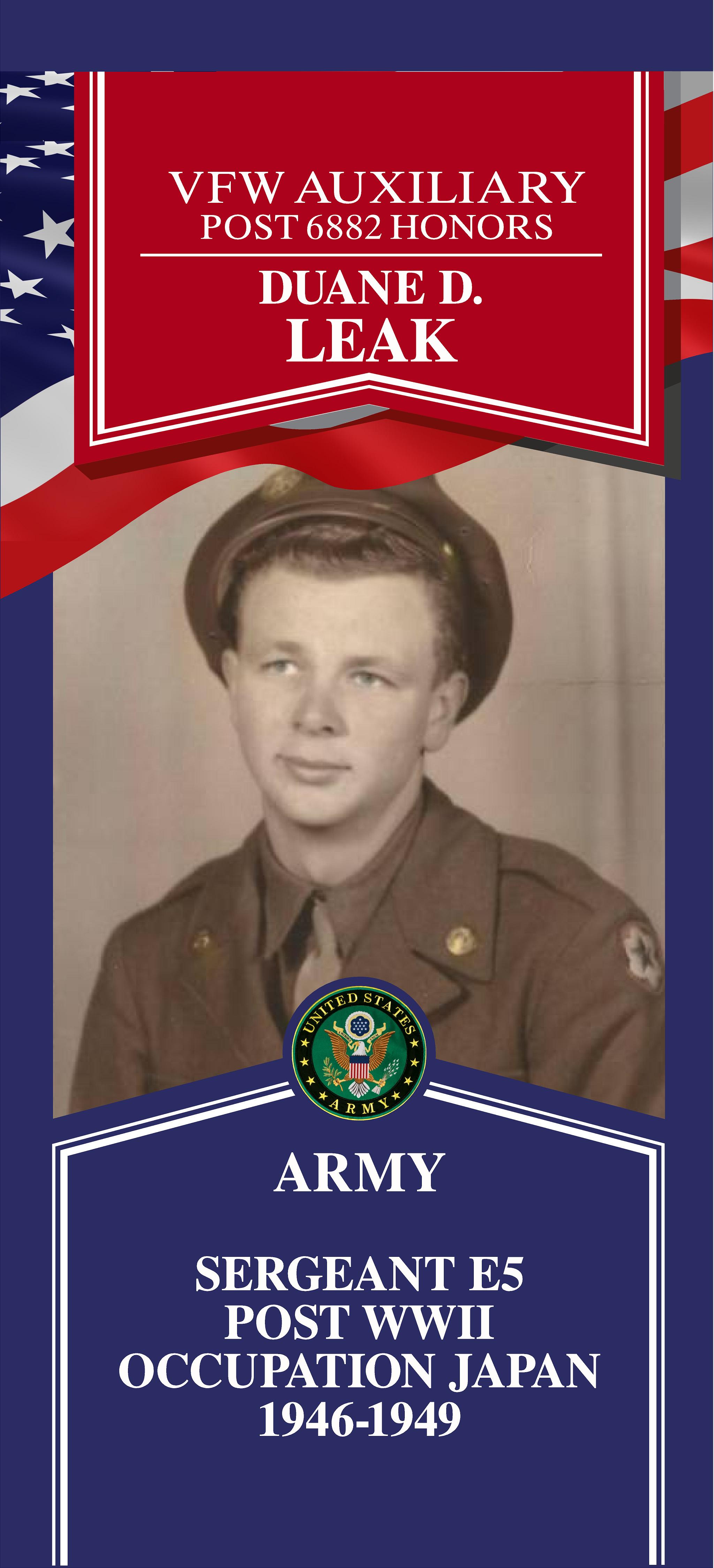 Local Heroes veteran tribute portrait