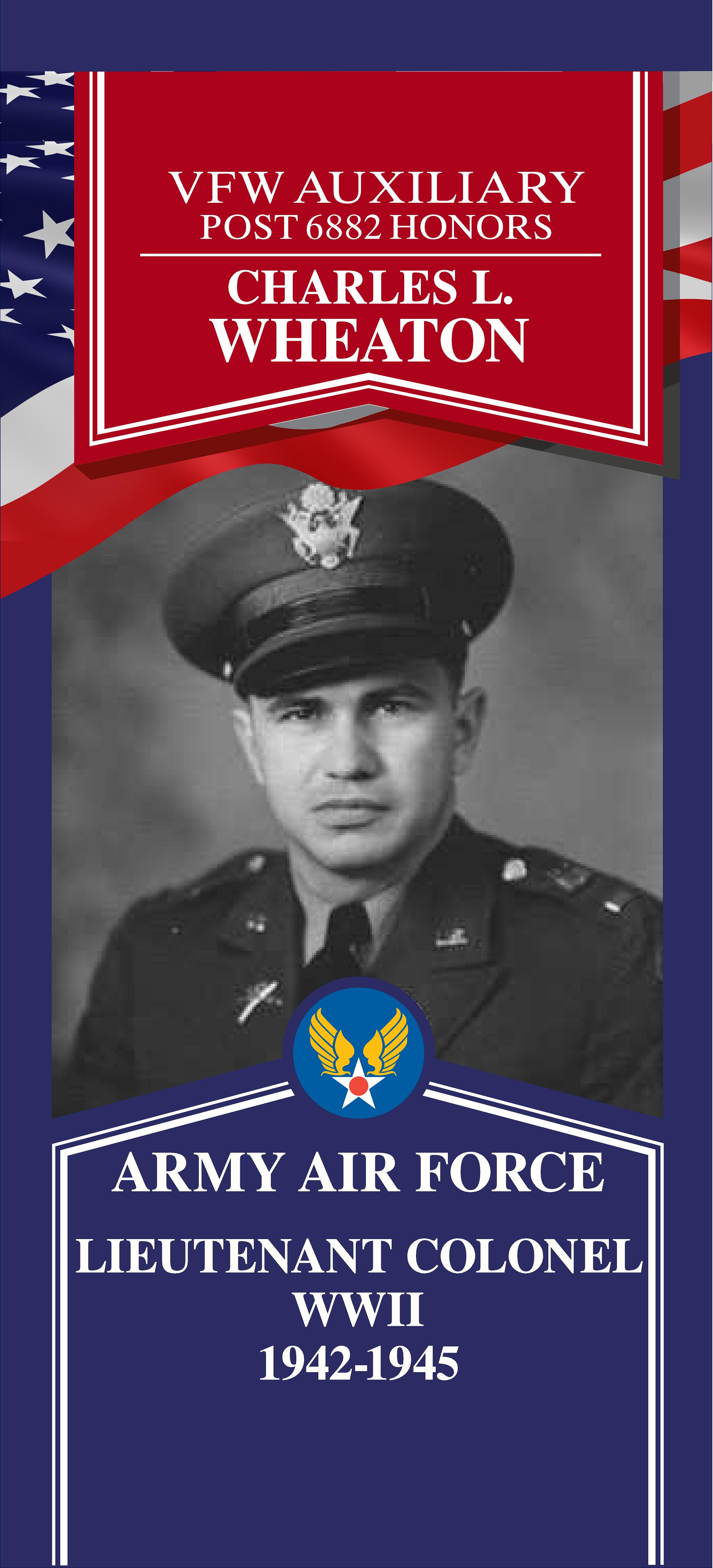 Local Heroes veteran tribute portrait