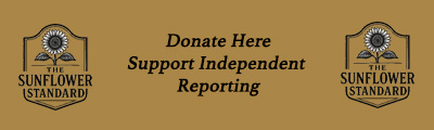Sponsored content - Example Ad